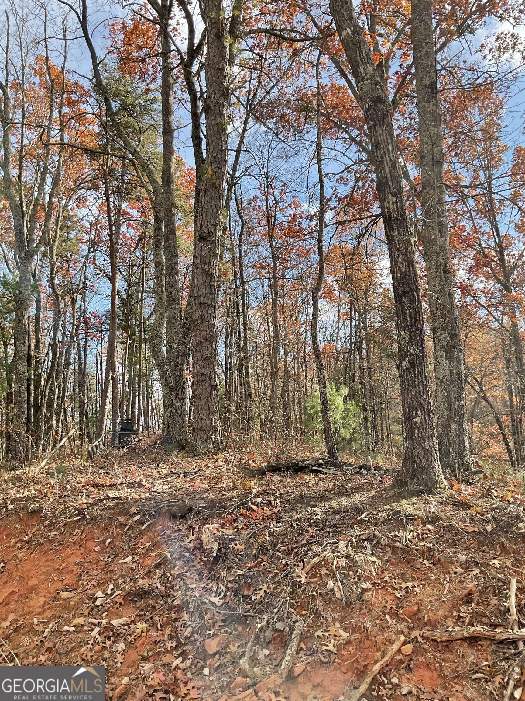 Clayton, GA 30525,0 Lynn DR