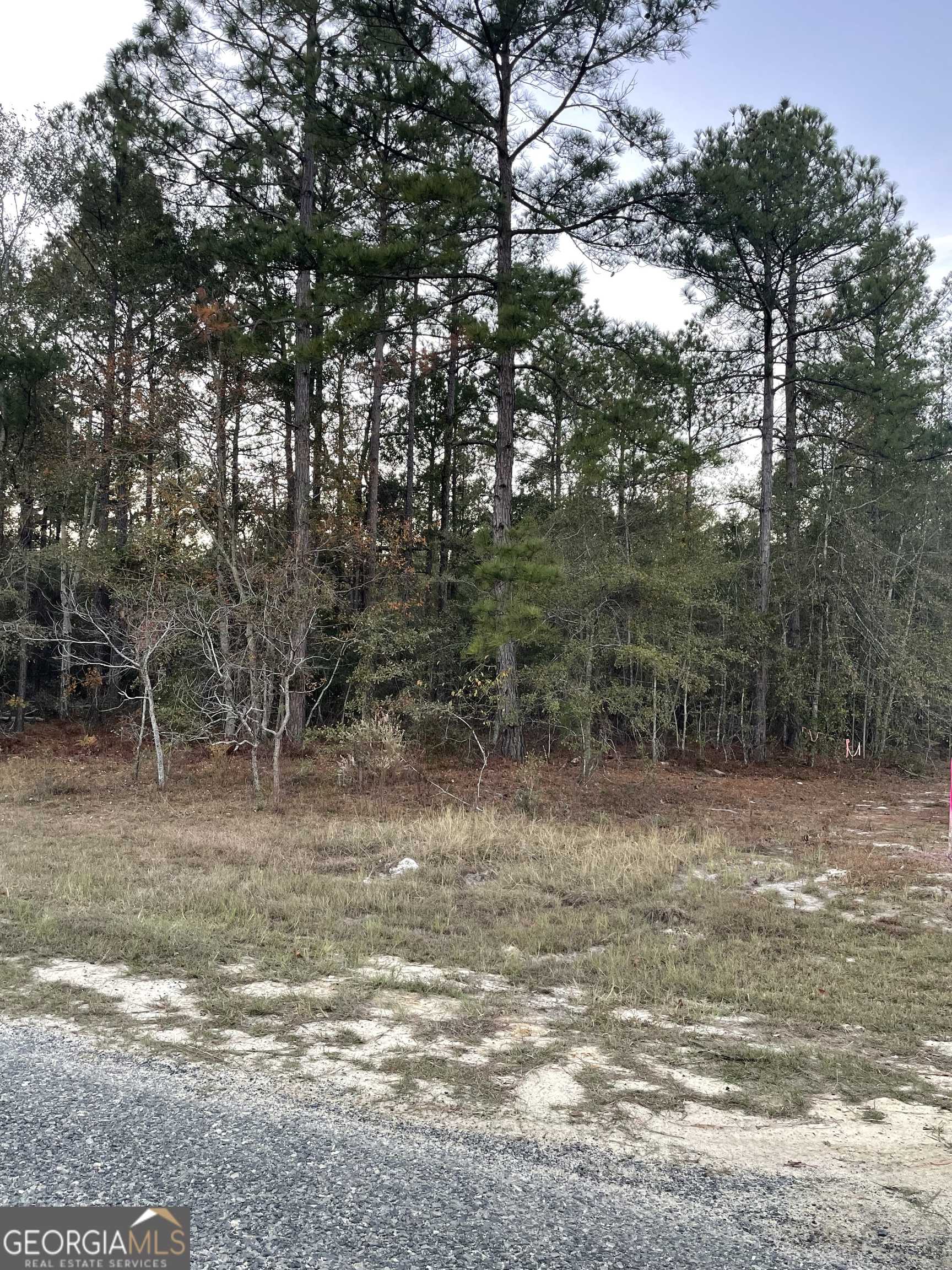 Twin City, GA 30471,0 Shuffletown RD