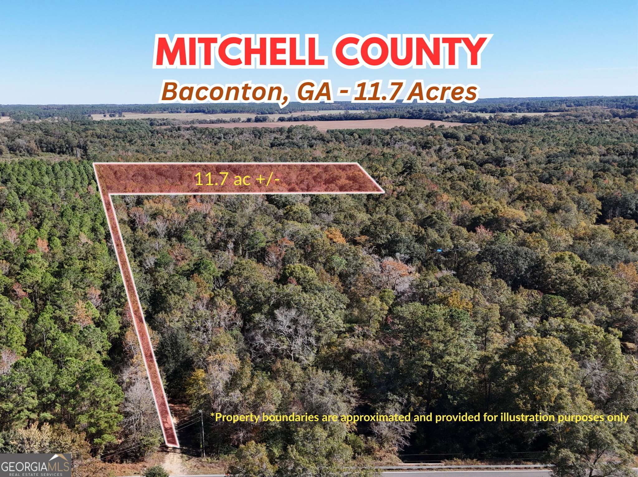 Baconton, GA 31716,0 Brest Station RD