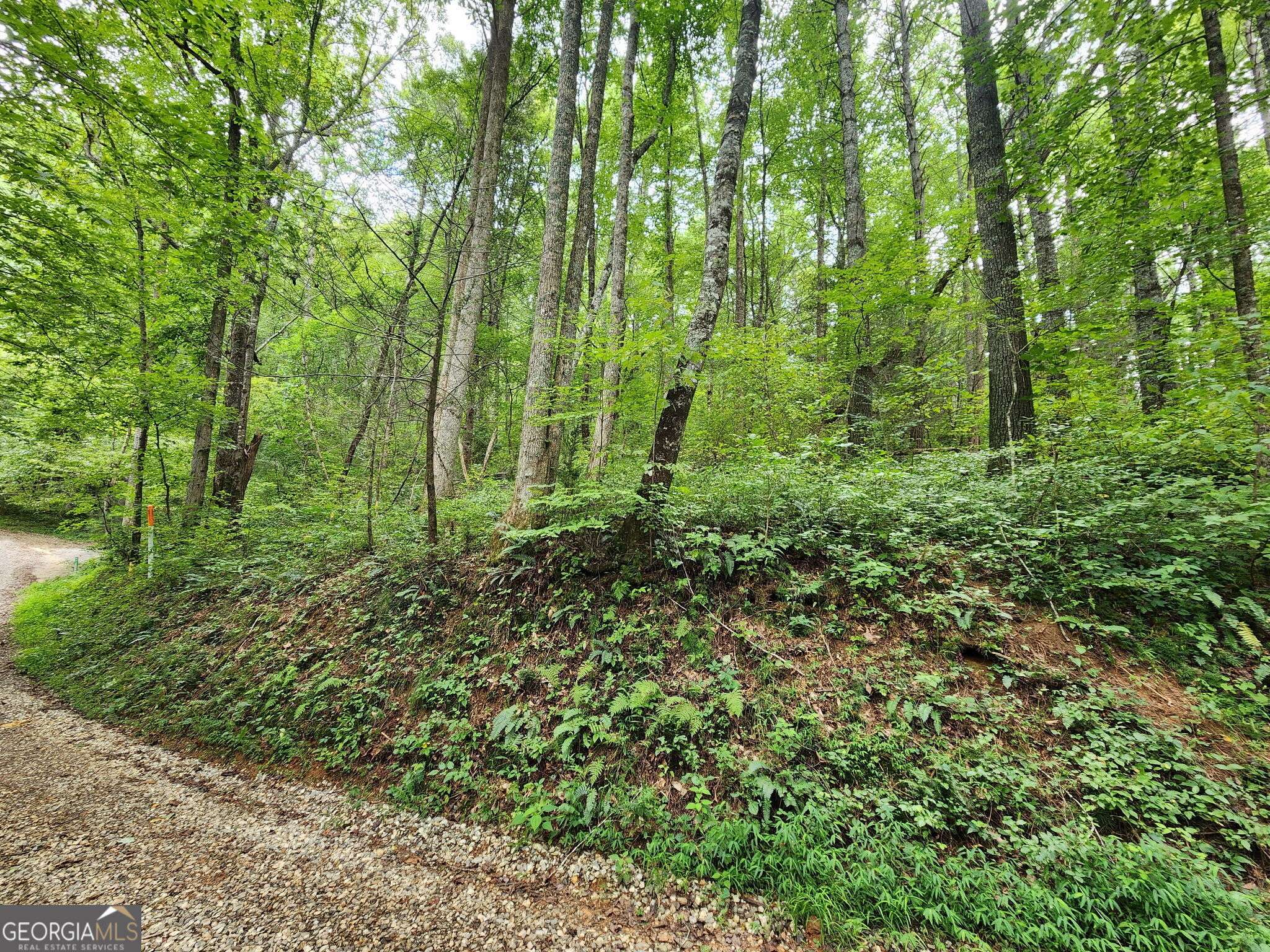 Suches, GA 30572,TRACT 2B Poplar Cove TRL