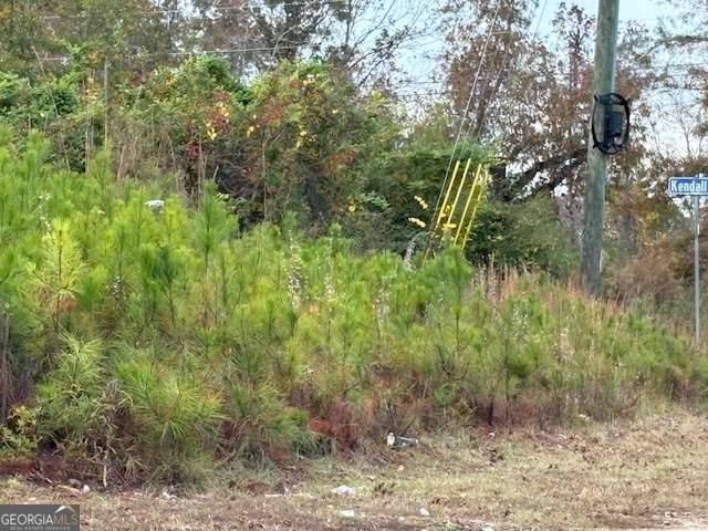 Griffin, GA 30224,235 Kendall DR