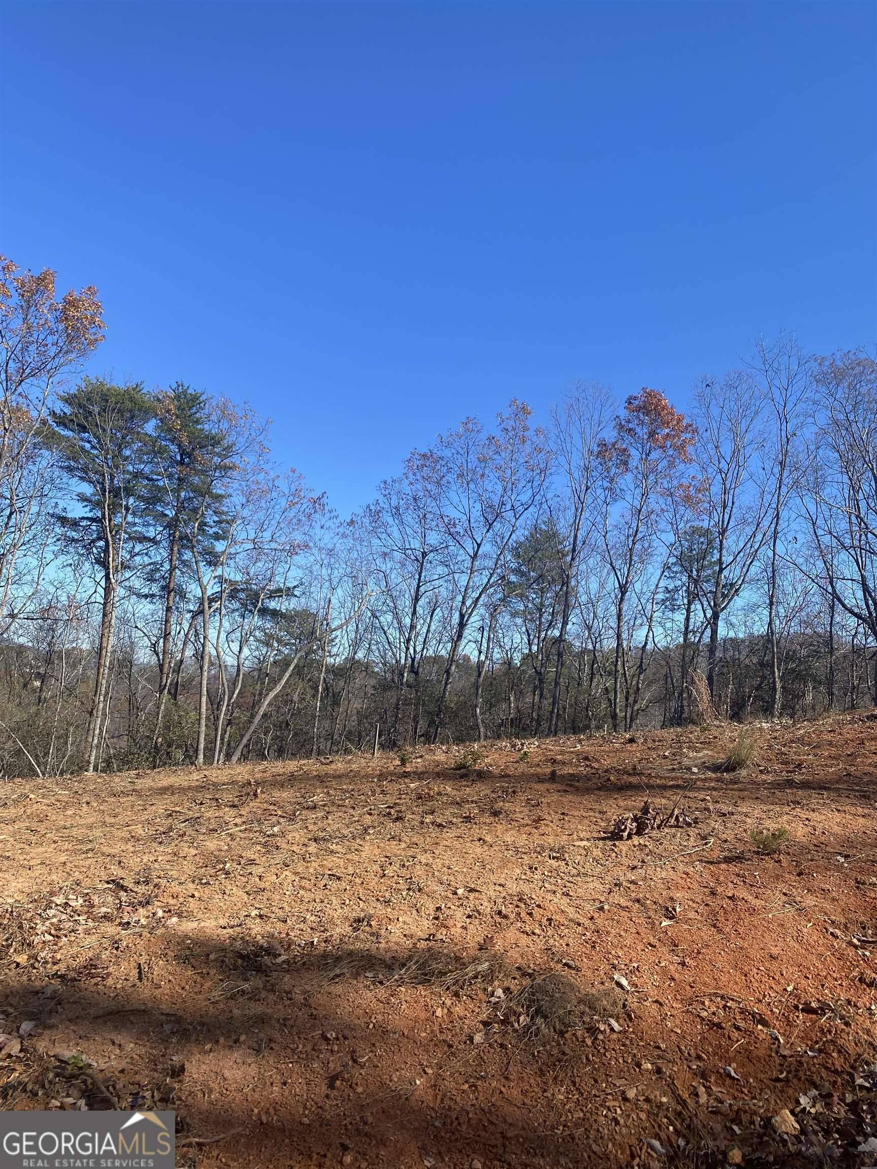 Cleveland, GA 30528,LOT 5 Lake View DR