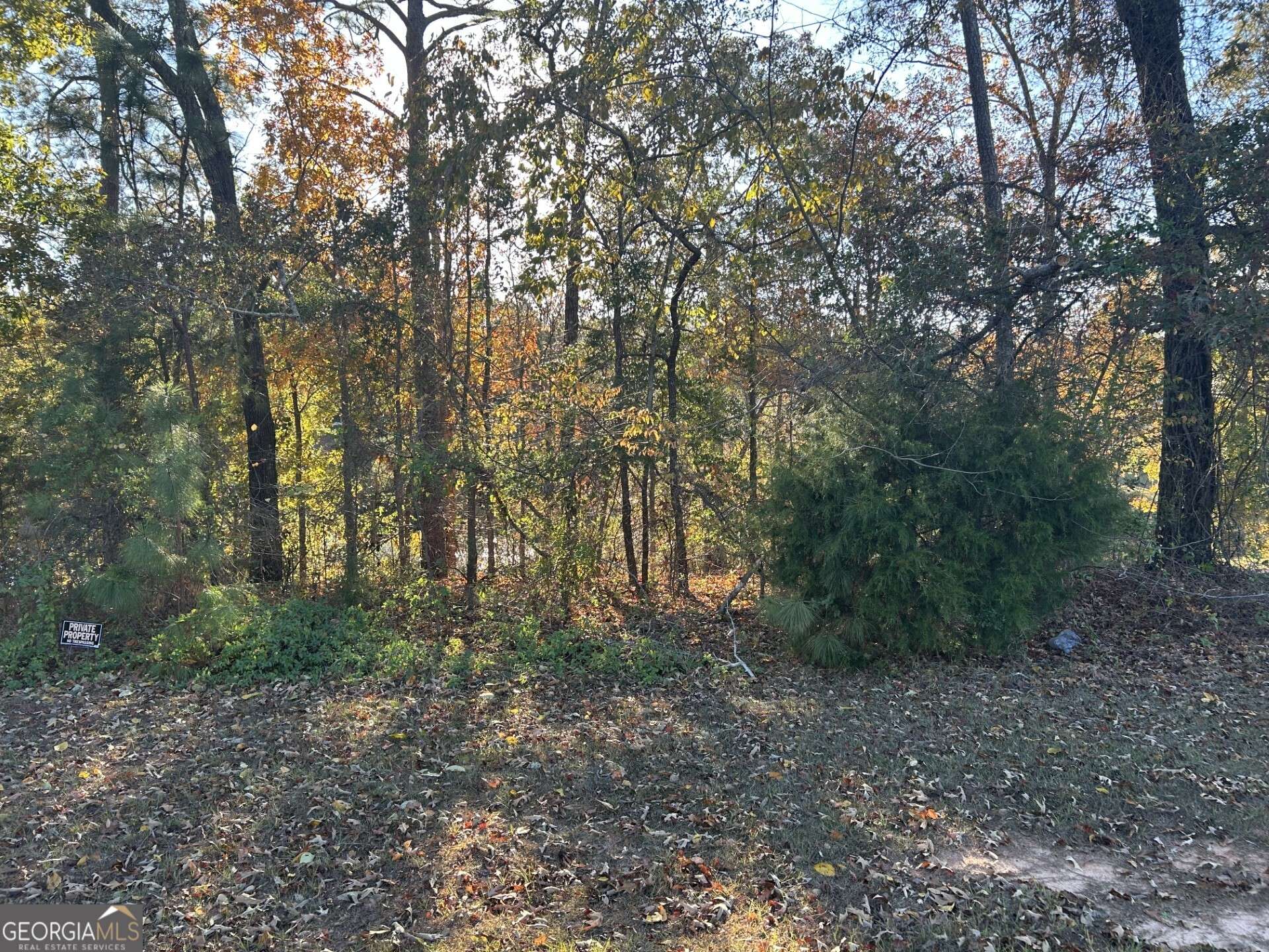 Bonaire, GA 31005,407 Arlington Falls CT