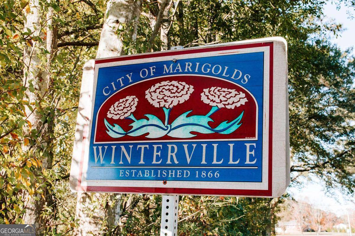 Winterville, GA 30683,TRACT 6 Lakeview DR