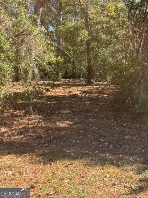 Woodbine, GA 31569,136 Herrin RD