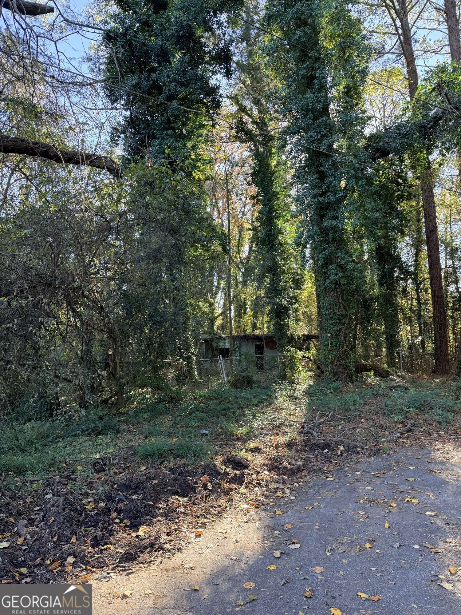 Atlanta, GA 30315,2320 Park WAY SW