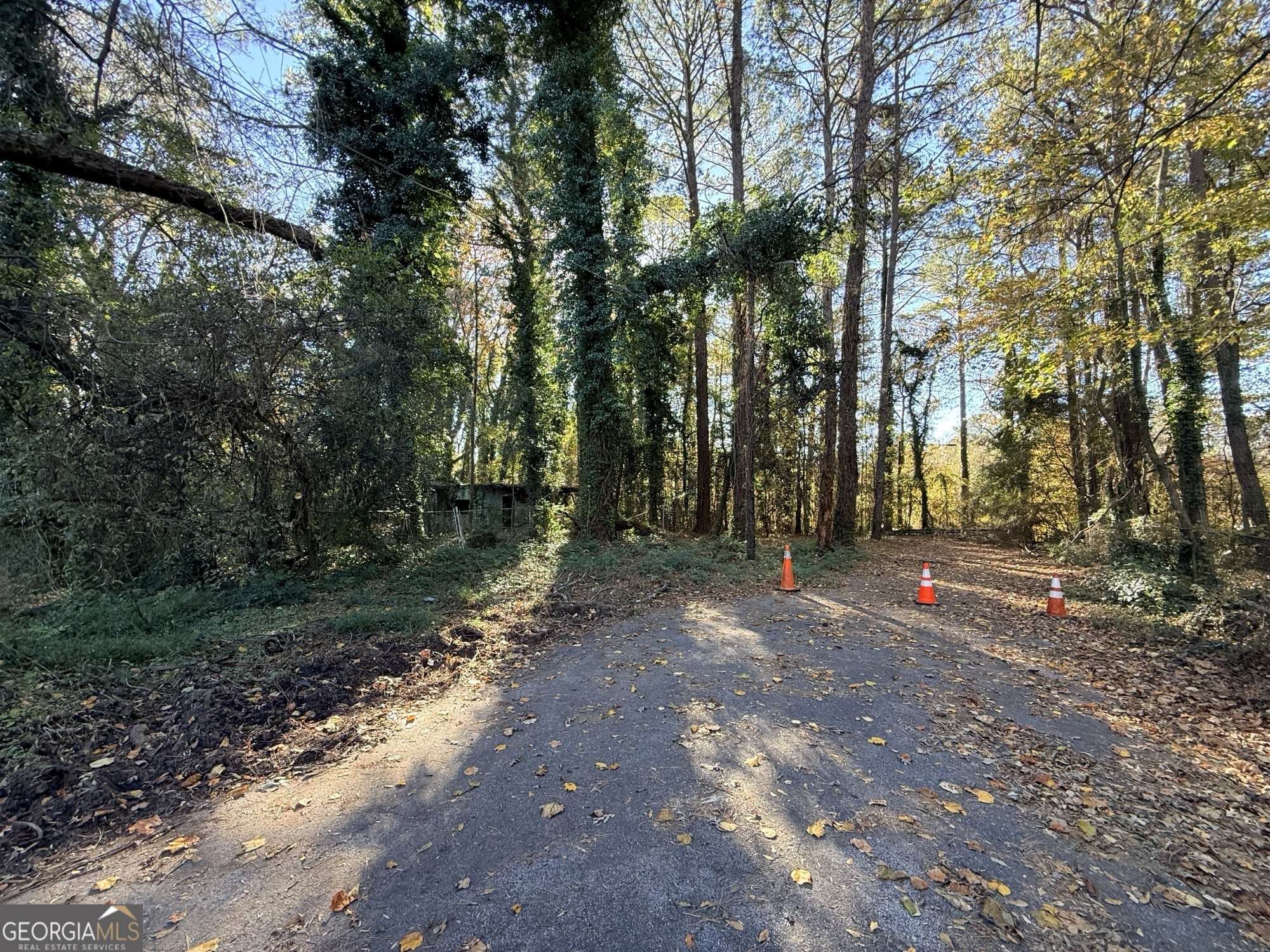 Atlanta, GA 30315,2320 Park WAY SW