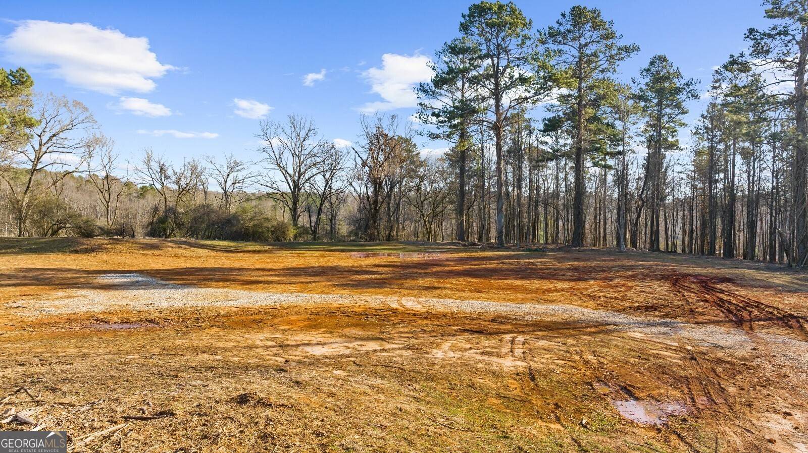 Alpharetta, GA 30004,113 Hickory Flat RD