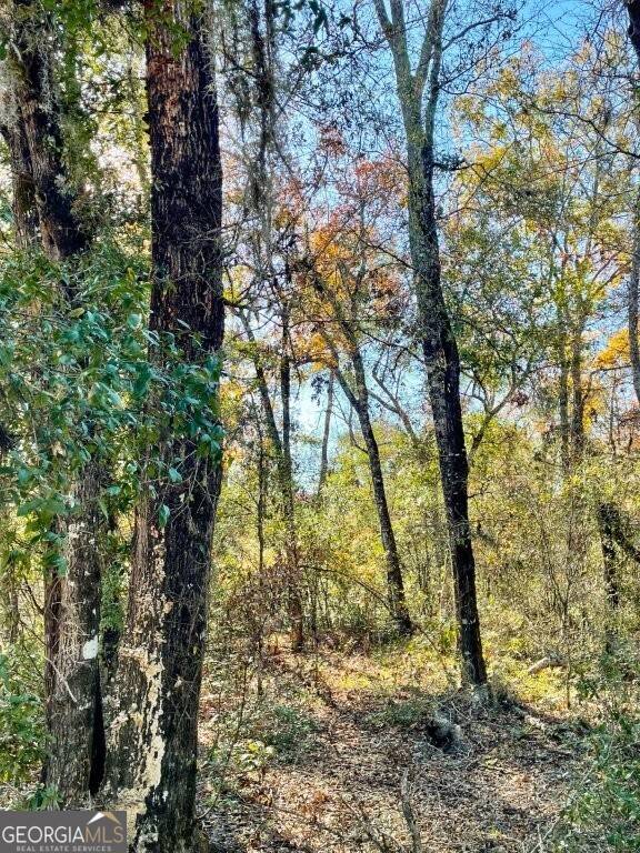 Swainsboro, GA 30401,0 Highway 56 S