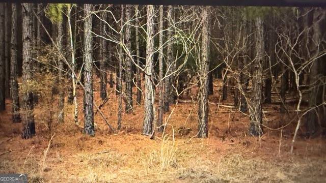 Eastman, GA 31023,LOT 8-9 Rocky Springs RD