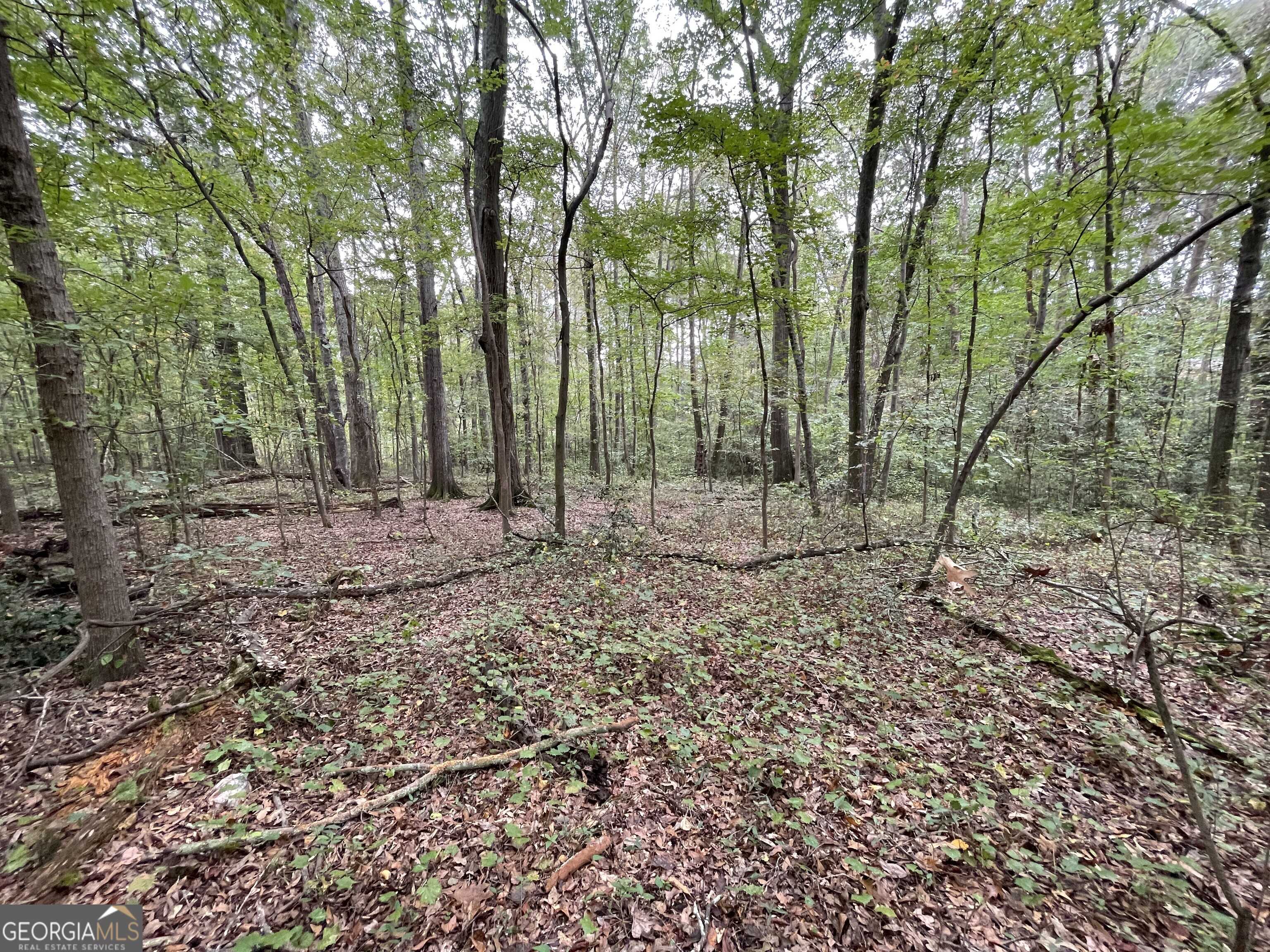 Jonesboro, GA 30236,7620 Mount Zion BLVD