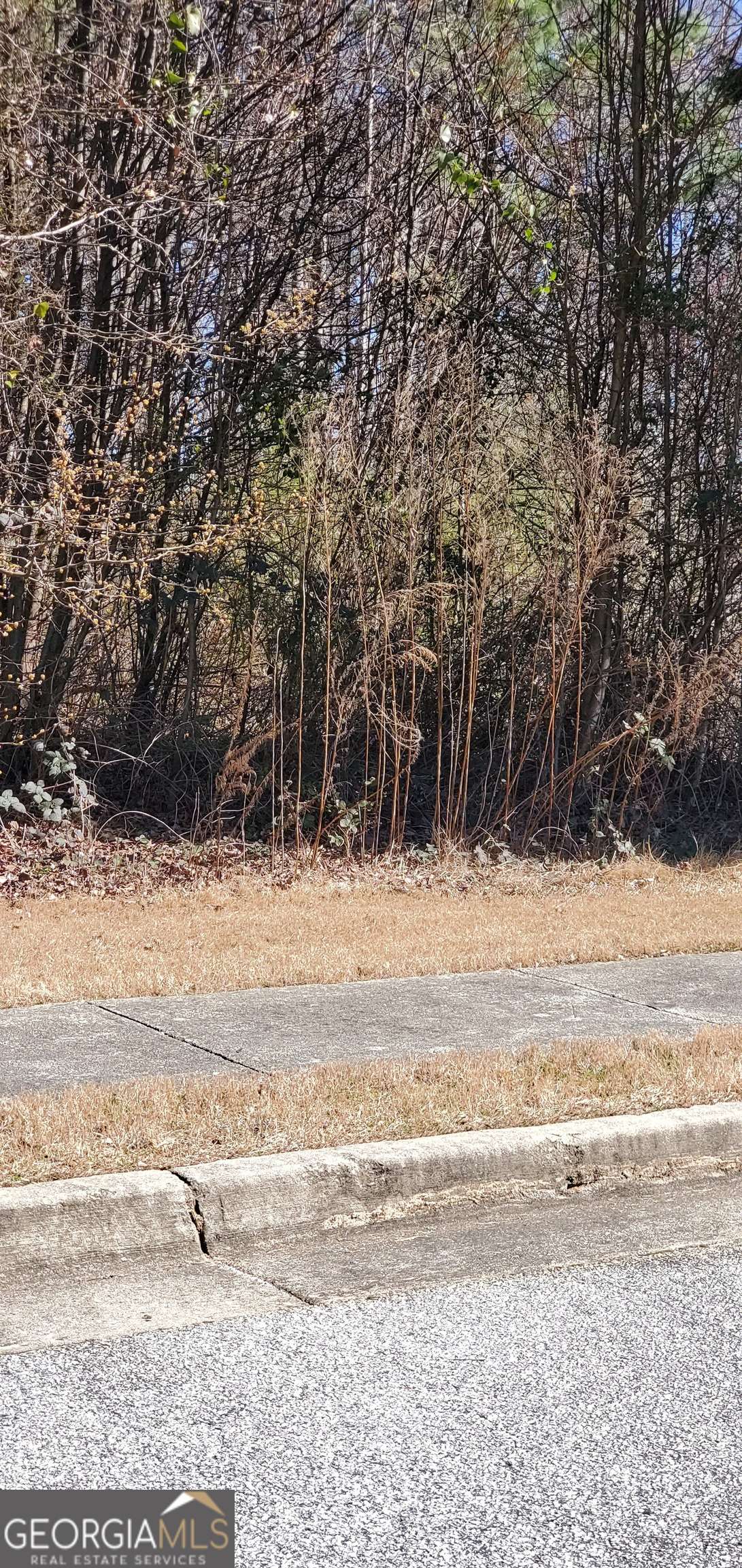 Loganville, GA 30052,3447 Tiffany Cove DR