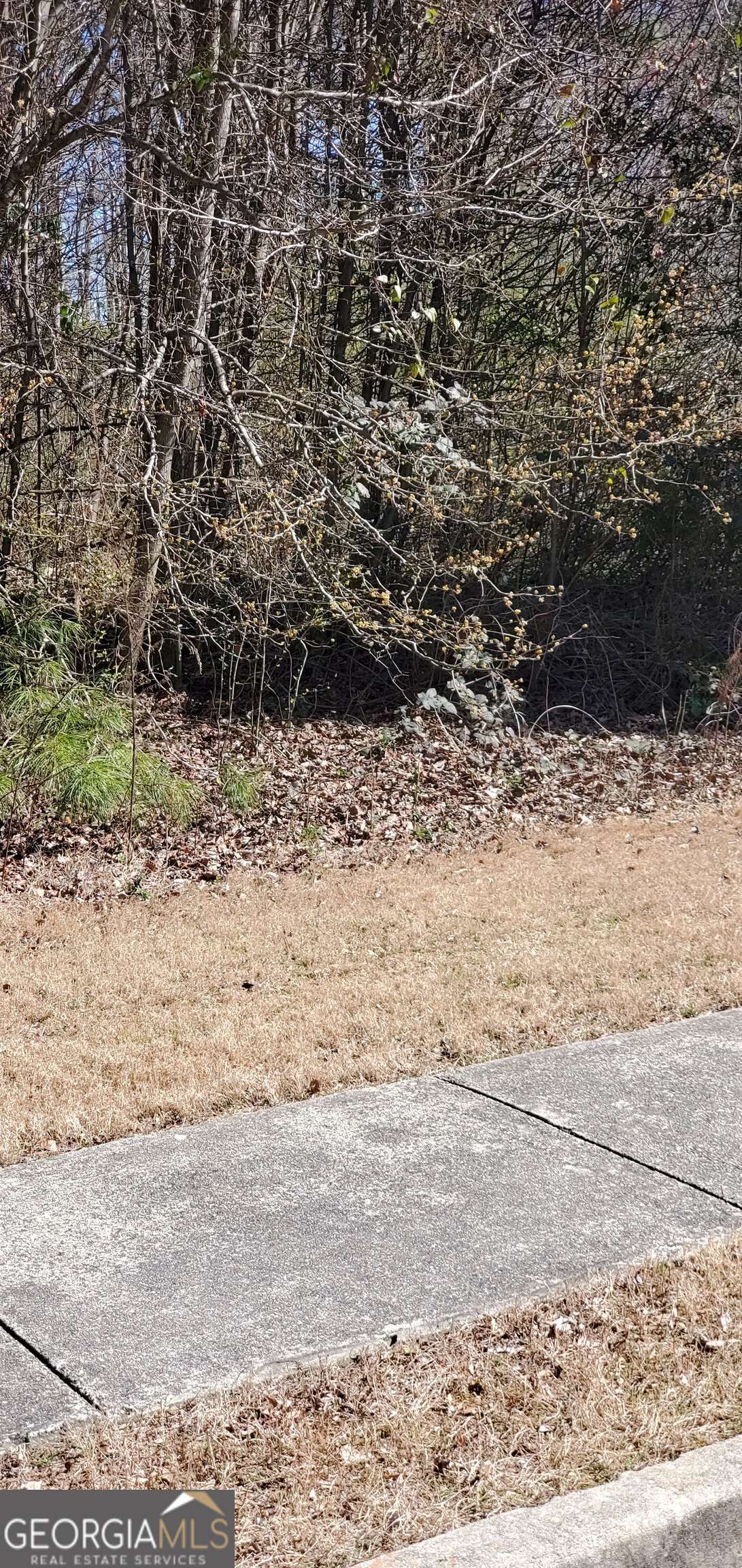 Loganville, GA 30052,3447 Tiffany Cove DR