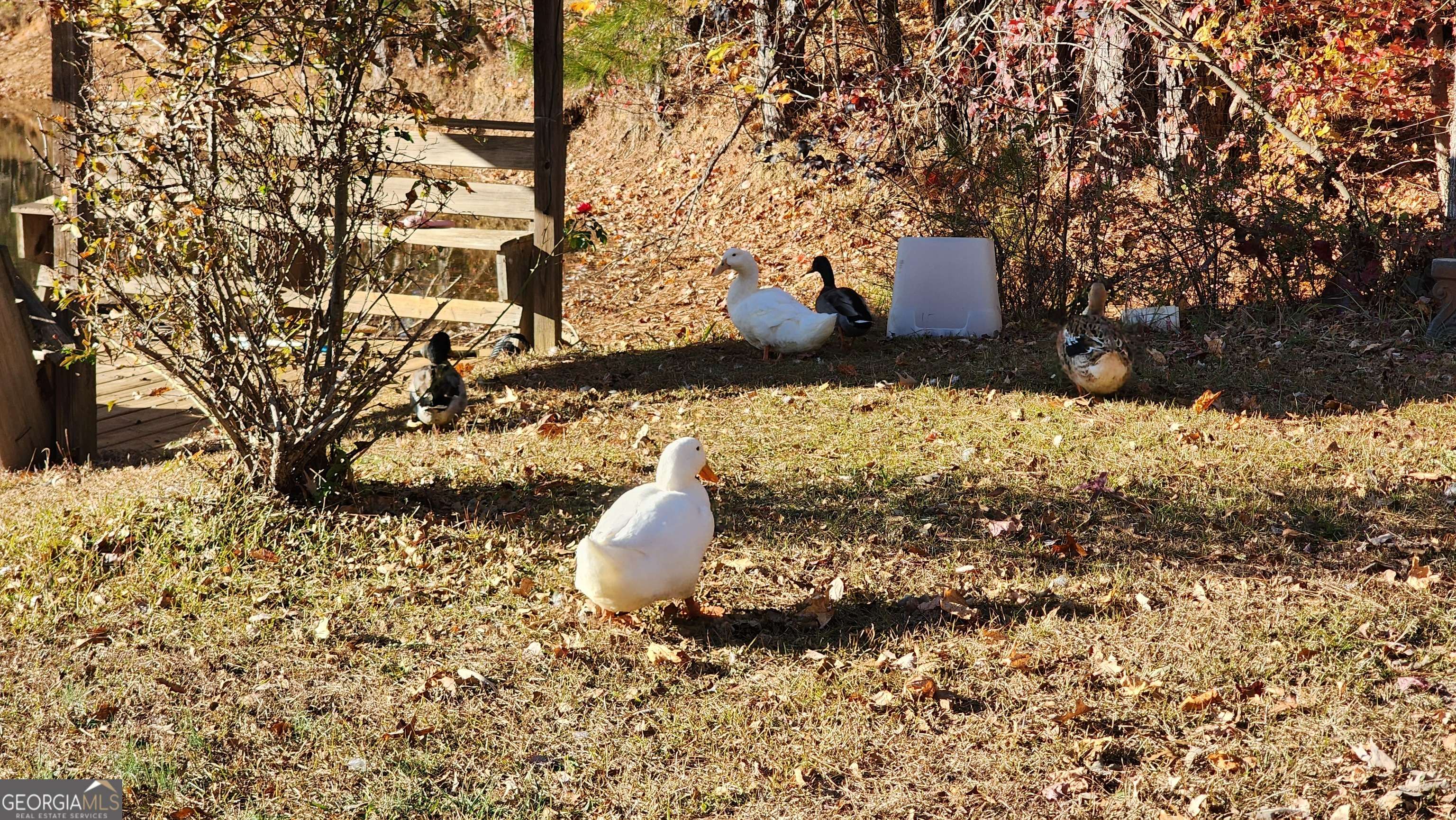 Dallas, GA 30157,105 Candlewood PATH