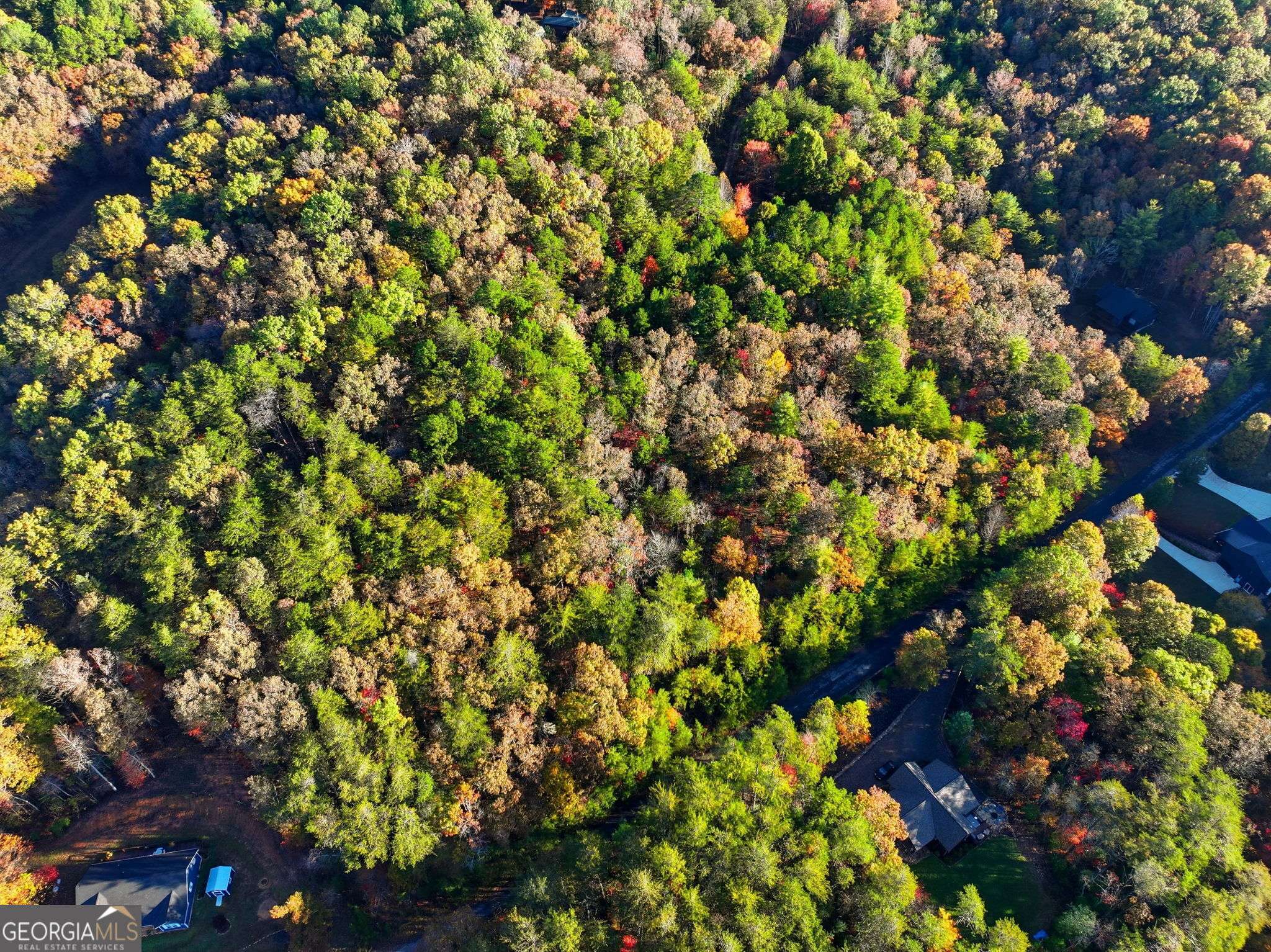 Mineral Bluff, GA 30559,0 Autumn Ridge Drive Lot 10 & Lot 11 DR