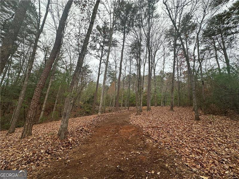 Ellijay, GA 30540,0 Roaring Forks LN