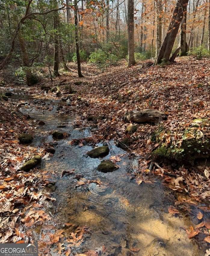 Blue Ridge, GA 30513,LOT A Magnums TRL #A