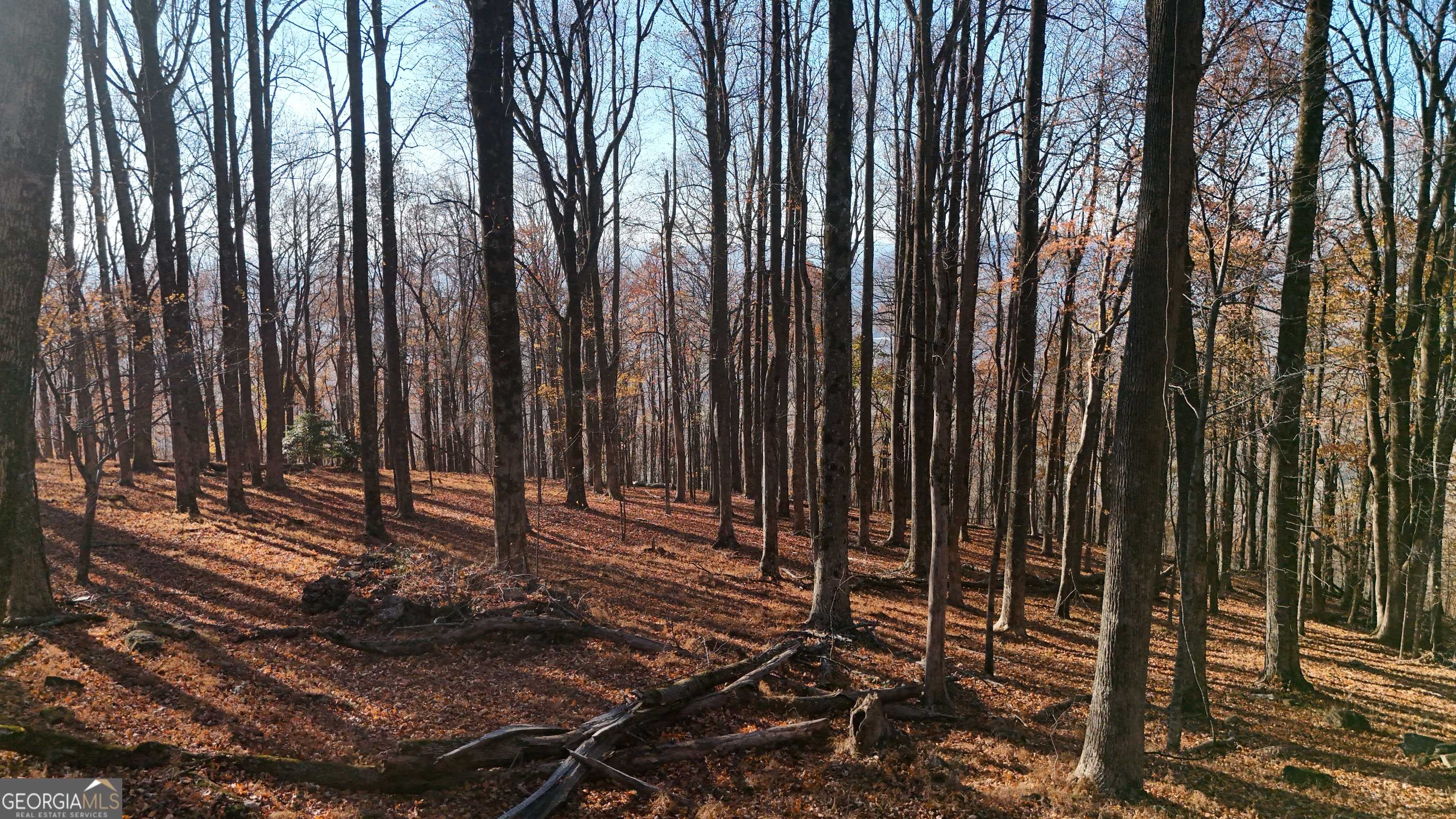 Cleveland, GA 30528,LOT 11 Mountainside DR