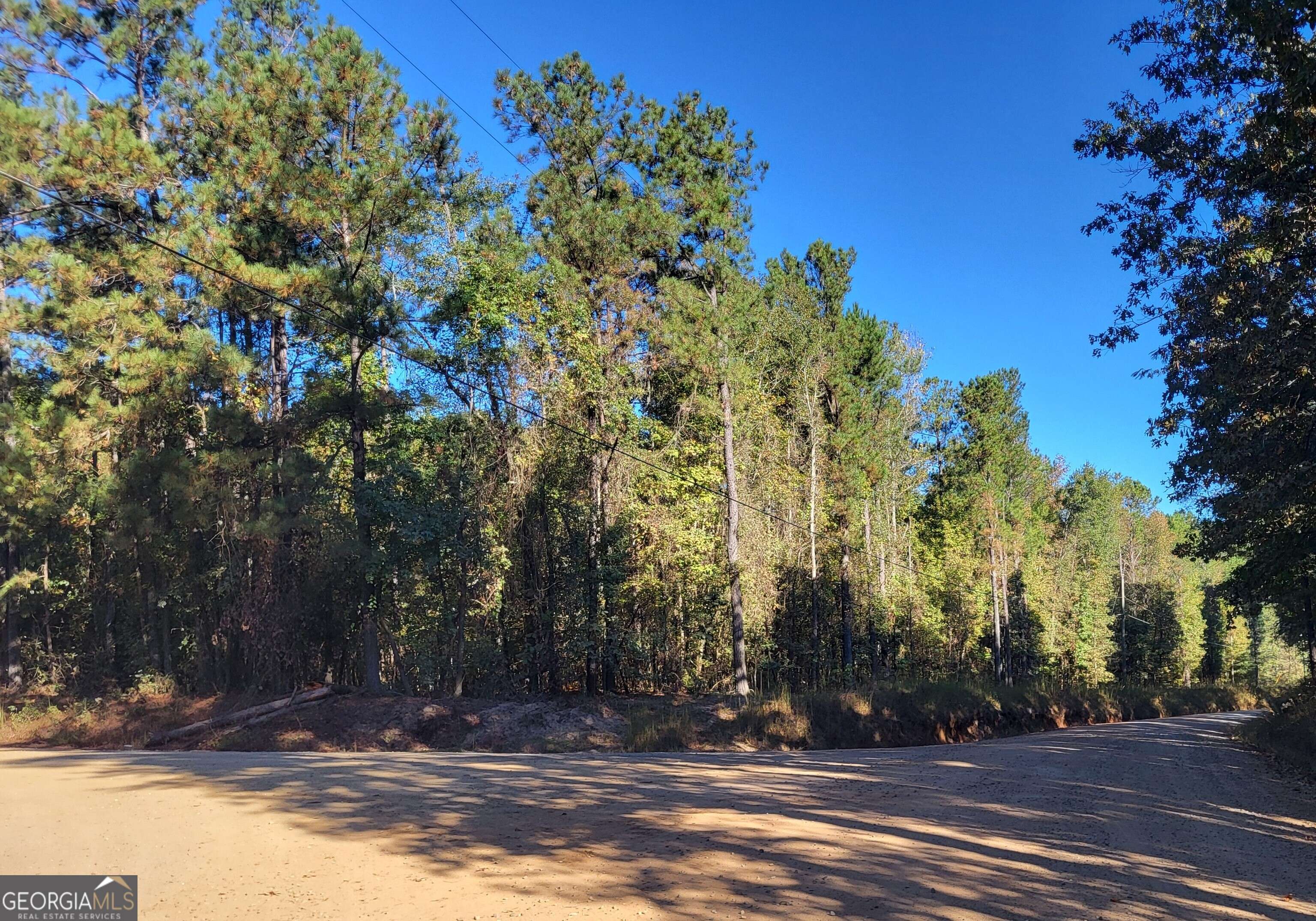 Macon, GA 31217,1669 Griswoldville Rd