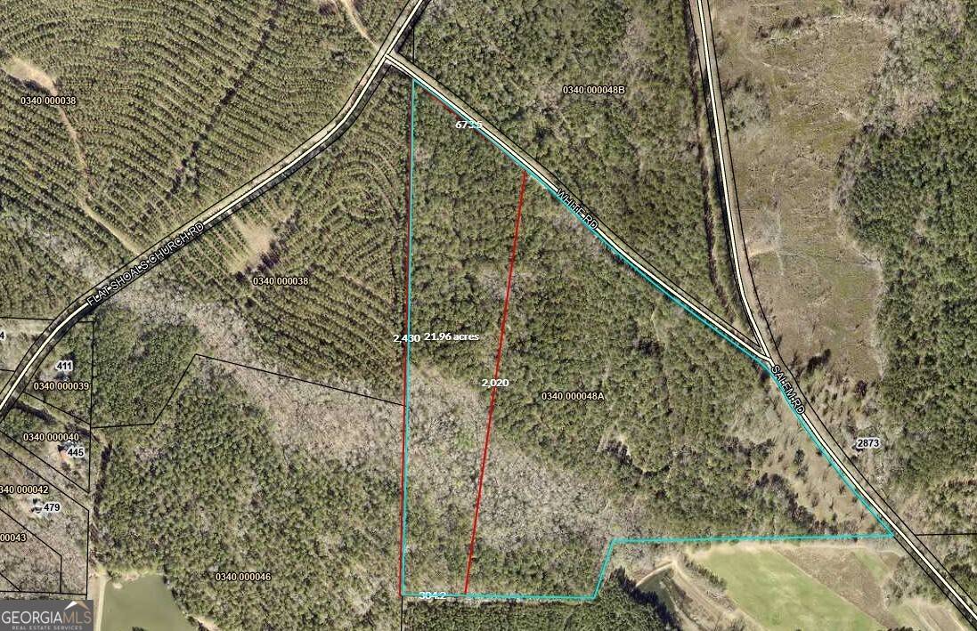 Pine Mountain, GA 31822,20+/- AC White RD