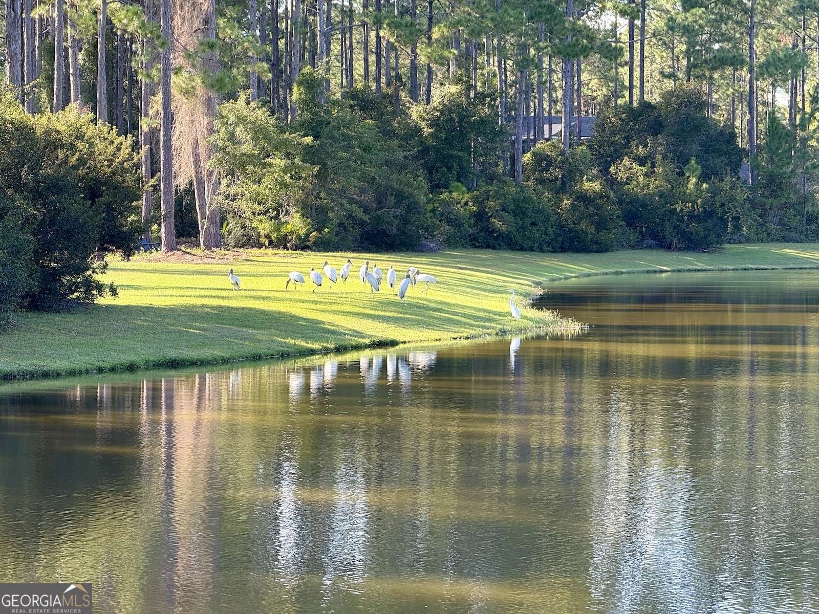 St. Marys, GA 31558,209 Placid RD