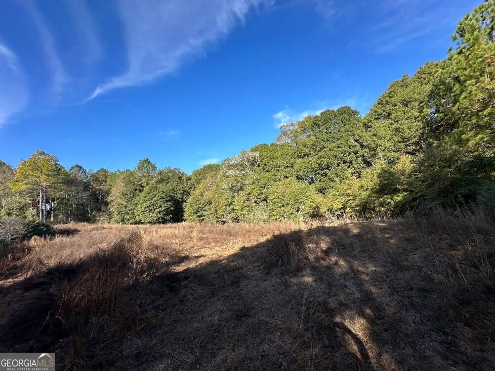 Coffee Springs, AL 36318,0 Bull Branch Road