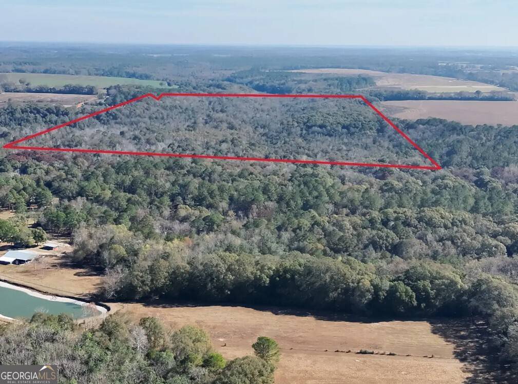 Coffee Springs, AL 36318,0 Bull Branch Road