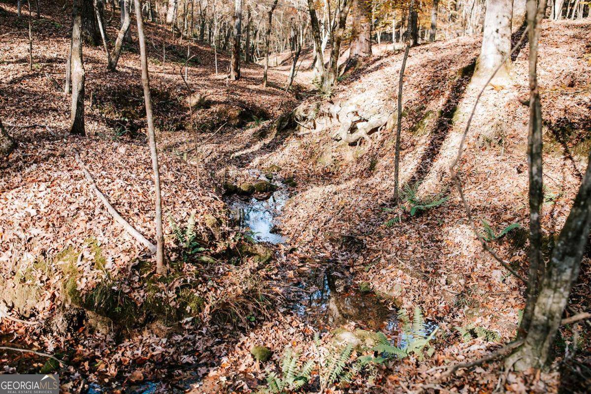 Crawfordville, GA 30631,0 Greensboro RD