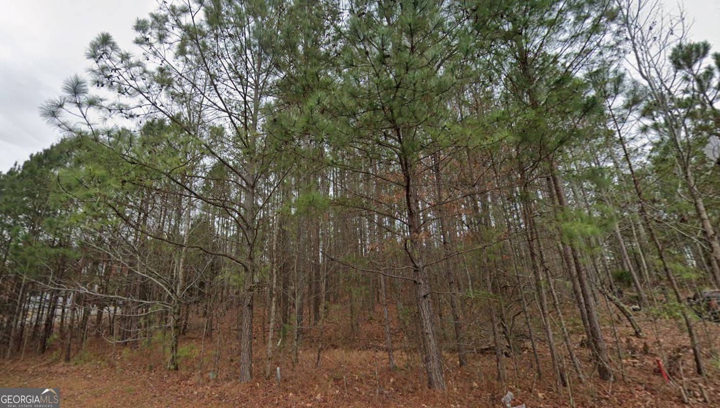 Rome, GA 30165,113 Snead AVE NW