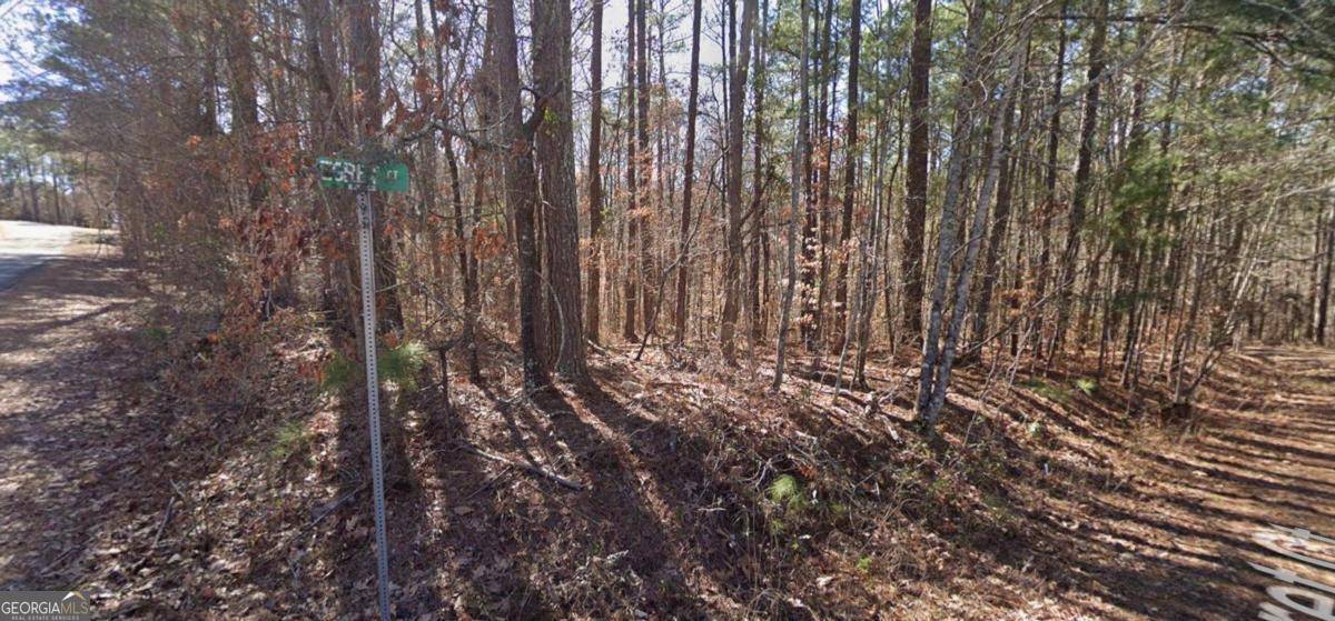 Monticello, GA 31064,0 Egret CT