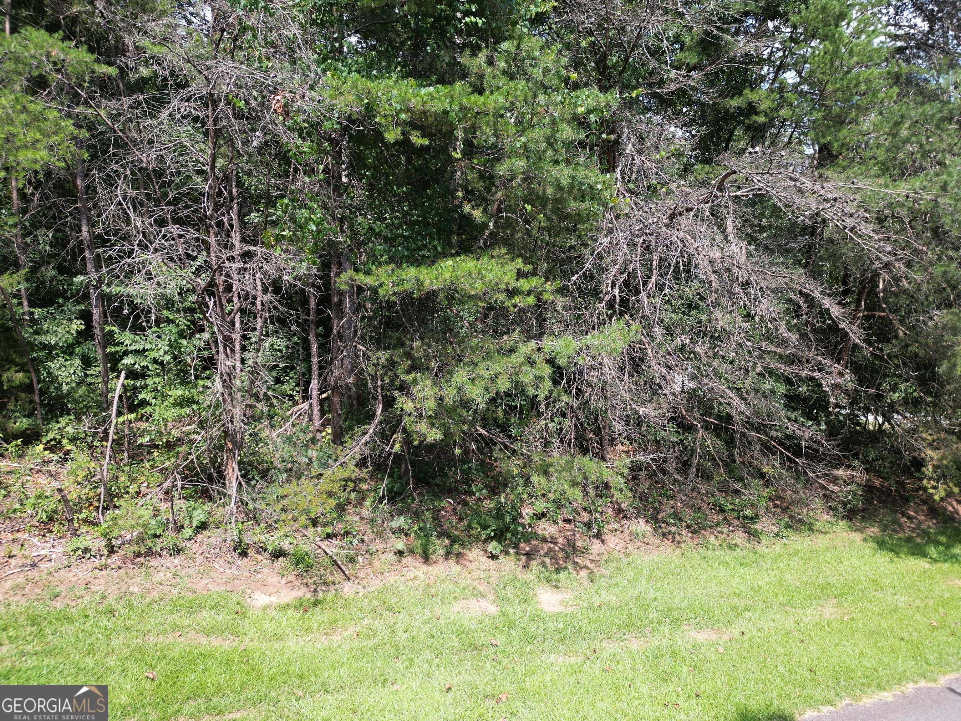 Toccoa, GA 30577,LOT 21 Deer Chase RD