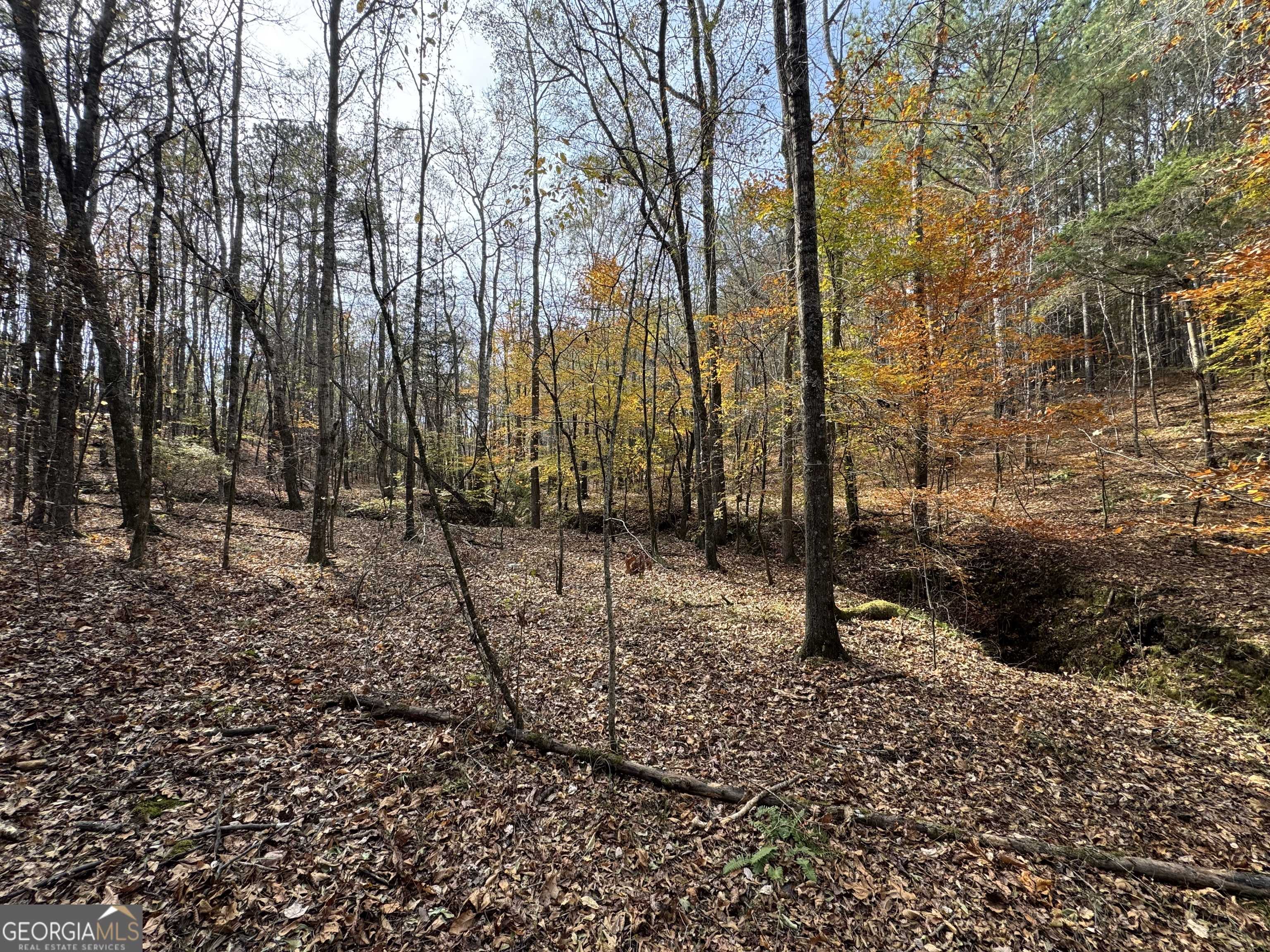 Elberton, GA 30635,0 Old Middleton RD