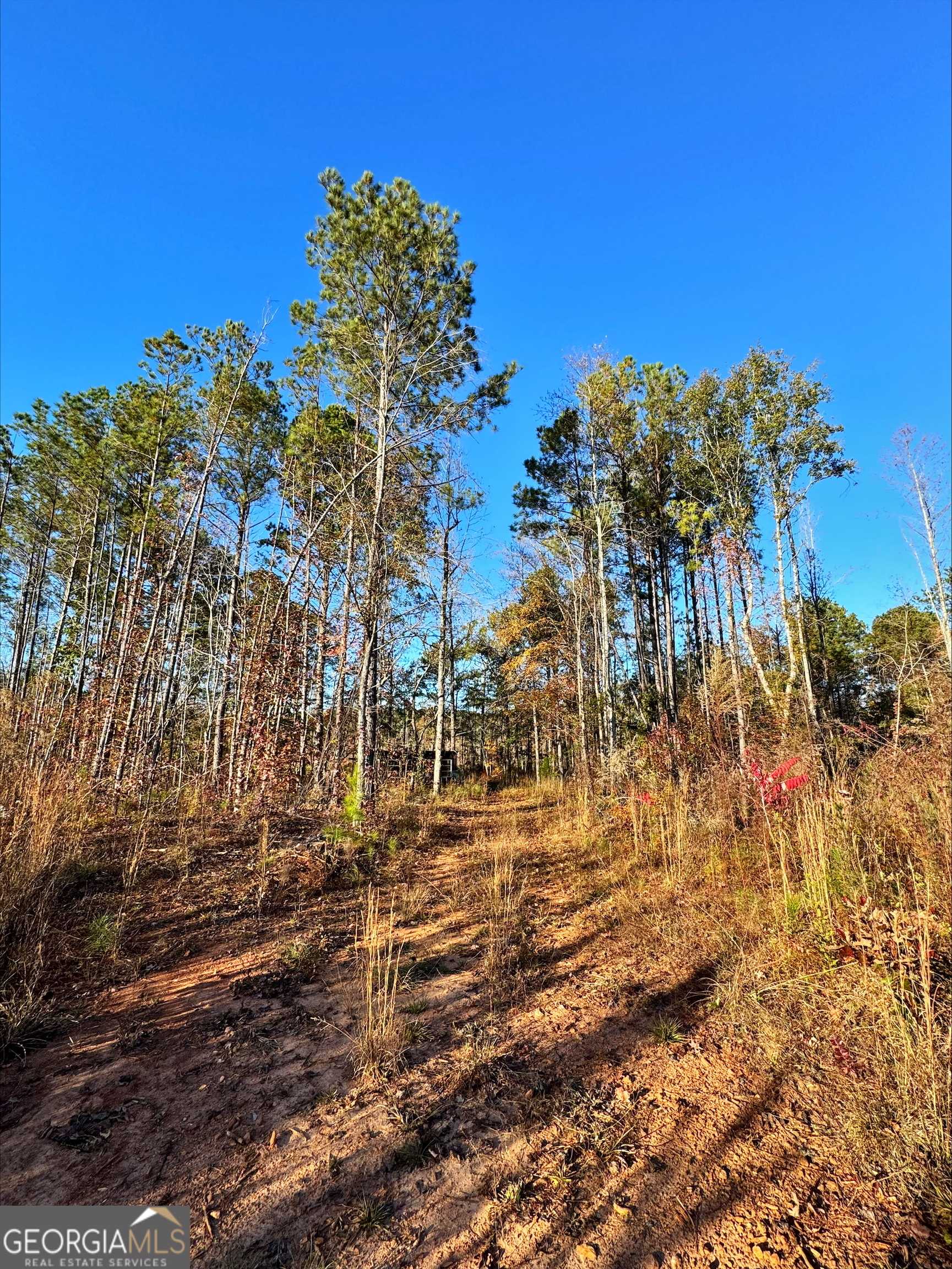 Lanett, AL 36863,0 County Rd 222