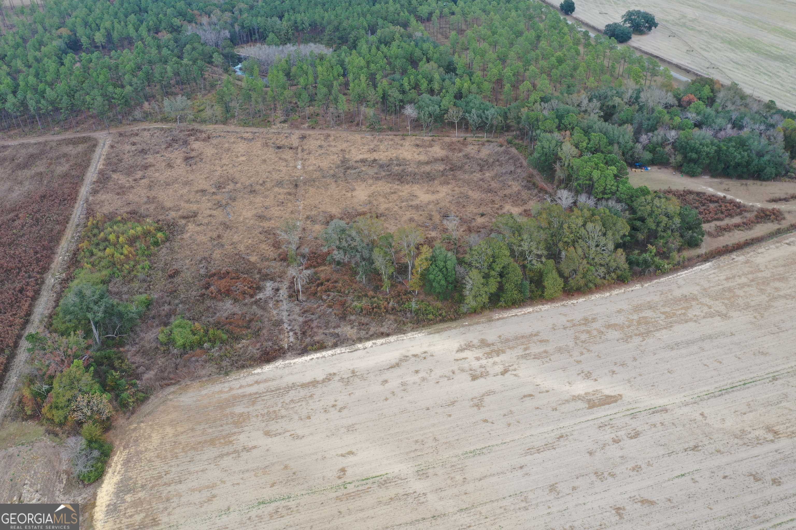 Whigham, GA 39897,0 Jowers RD