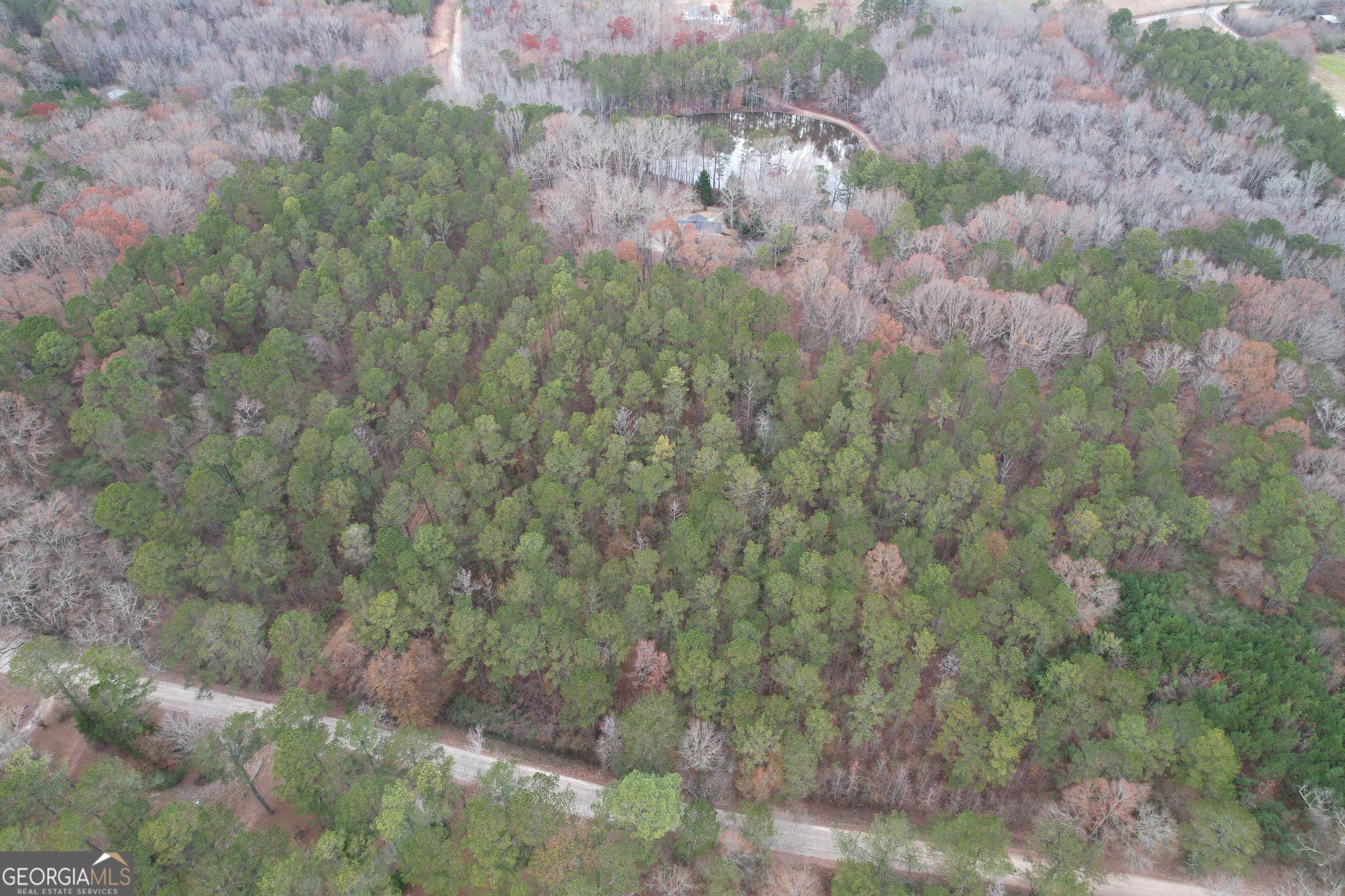 Zebulon, GA 30295,TRACT 3 Grady Maddox RD