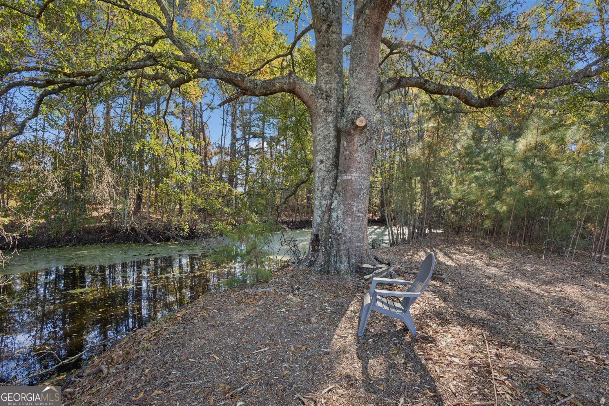 Brooklet, GA 30415,4342 Mud RD