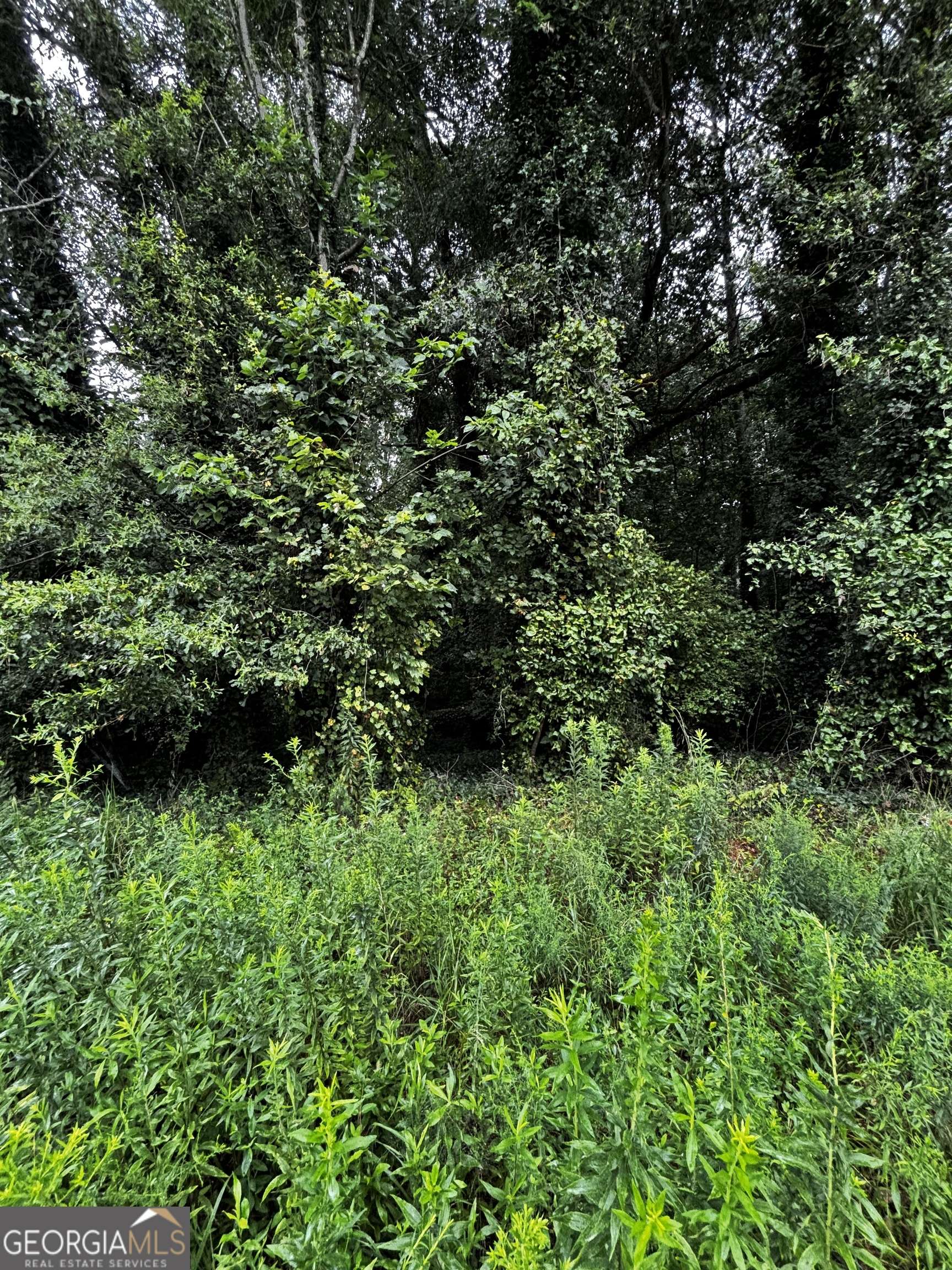 Jonesboro, GA 30236,8214 Freestone DR