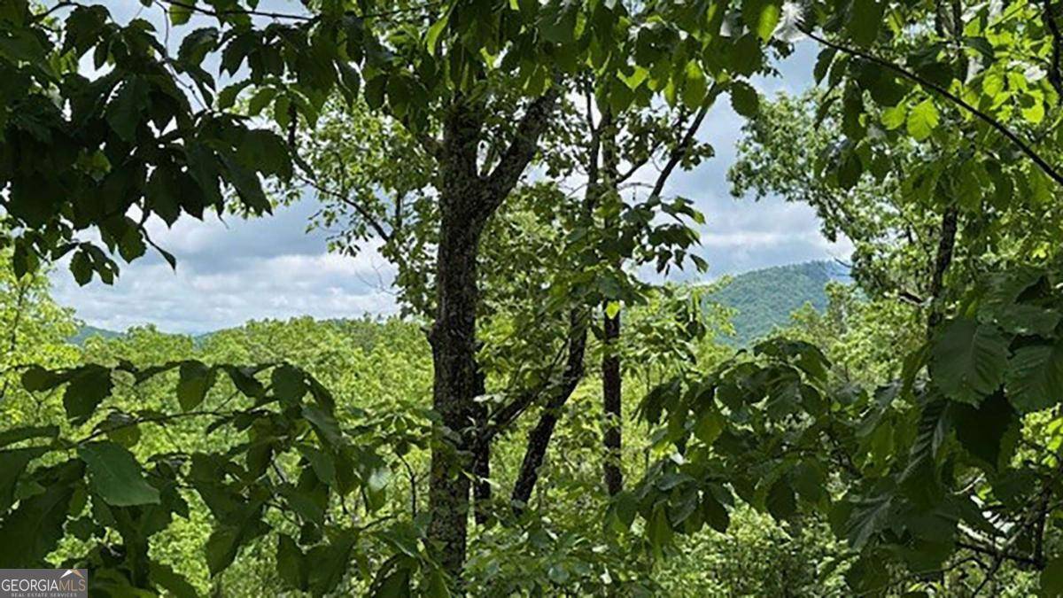 Mineral Bluff, GA 30559,108 Crabapple LN