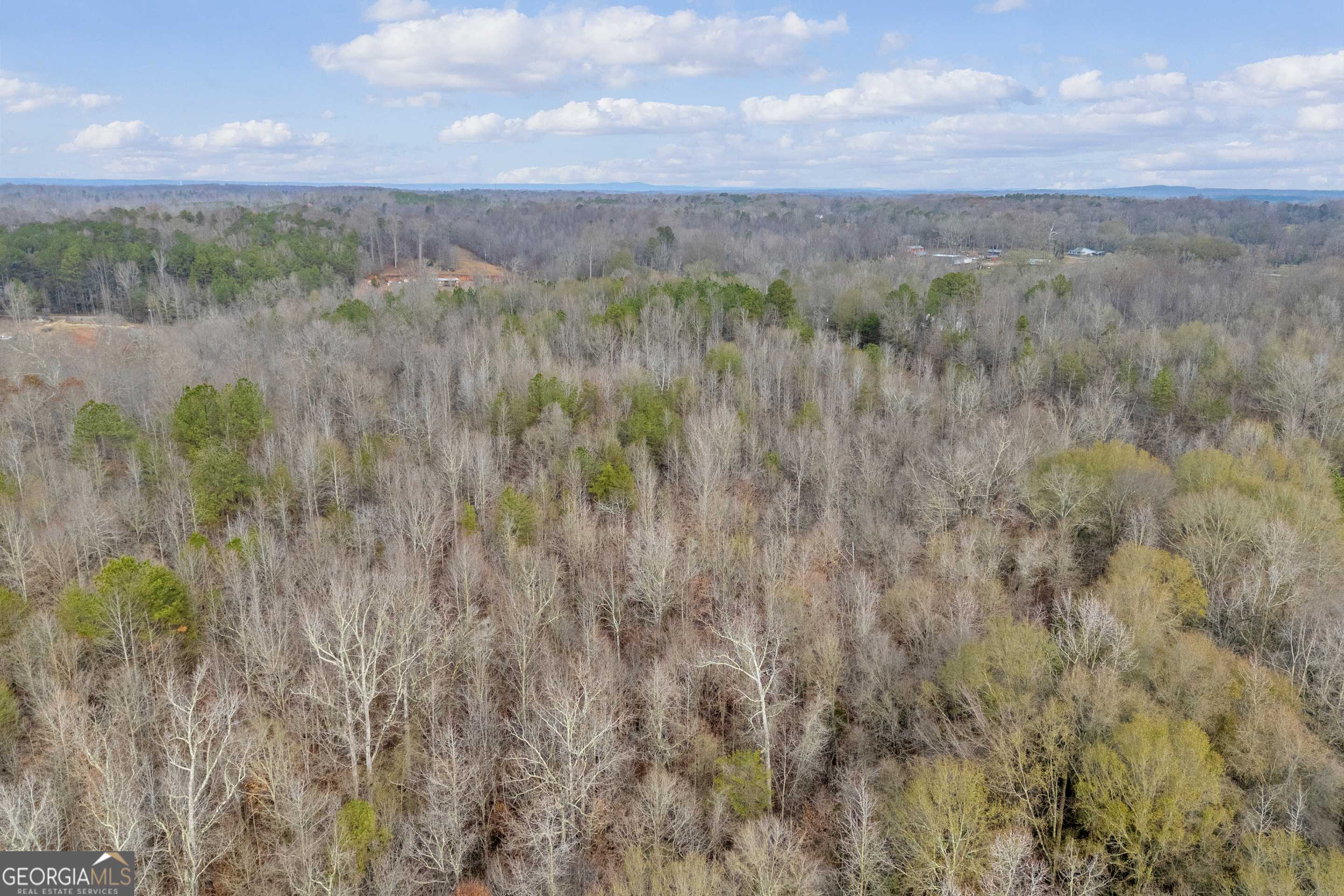 Maysville, GA 30558,0 Hembree RD