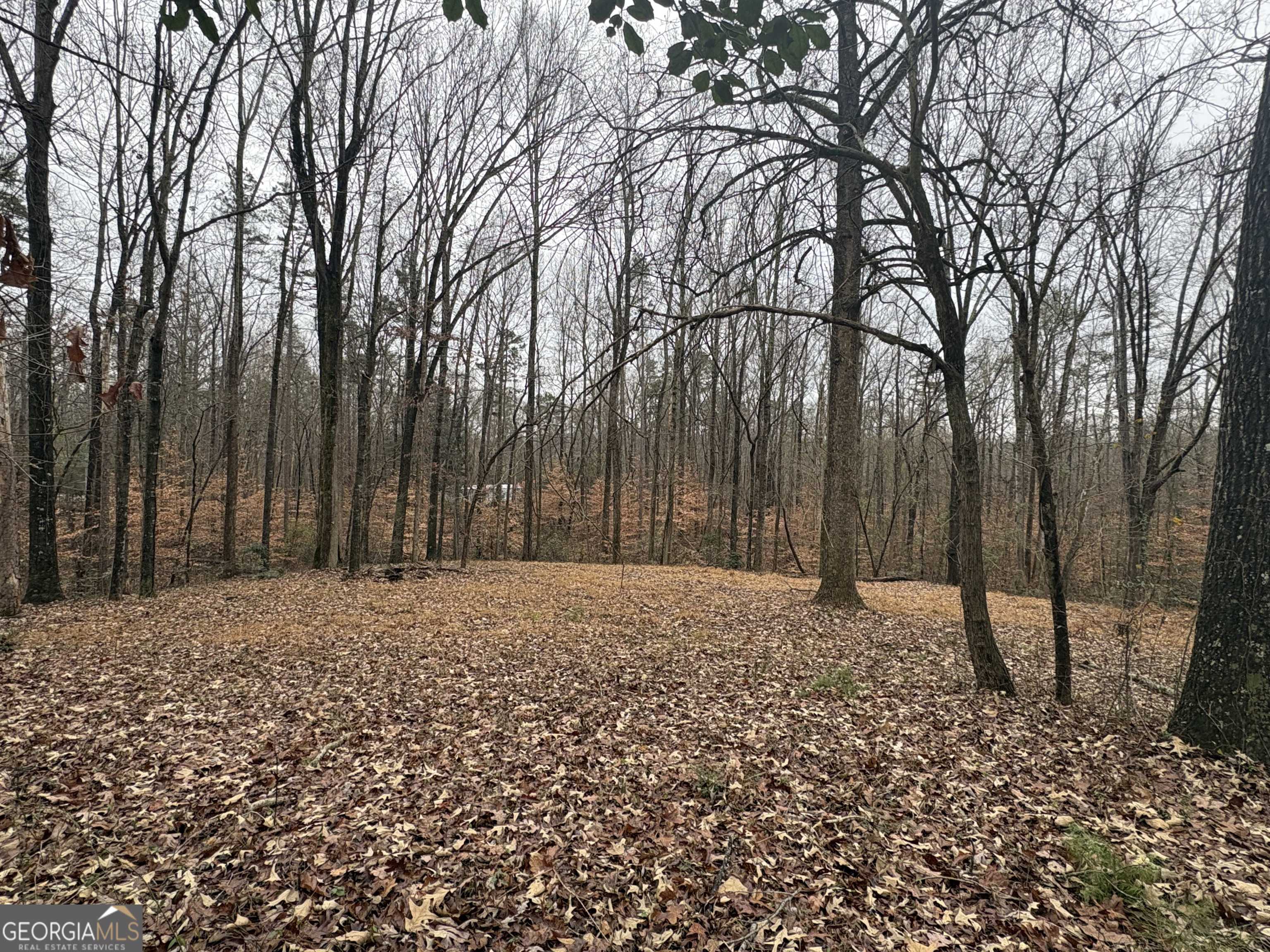 Lavonia, GA 30553,910 Lewis DR