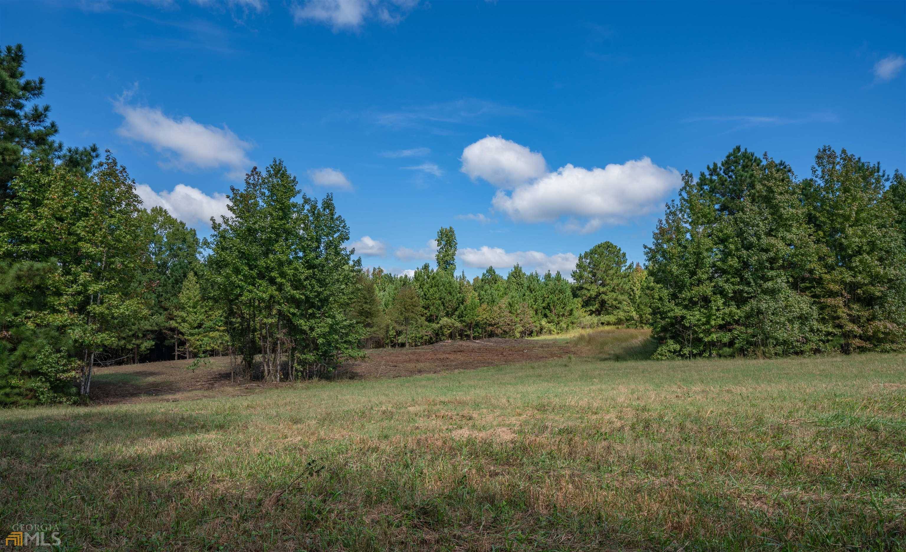 White Plains, GA 30678,LOT 1 Pioneer Trail