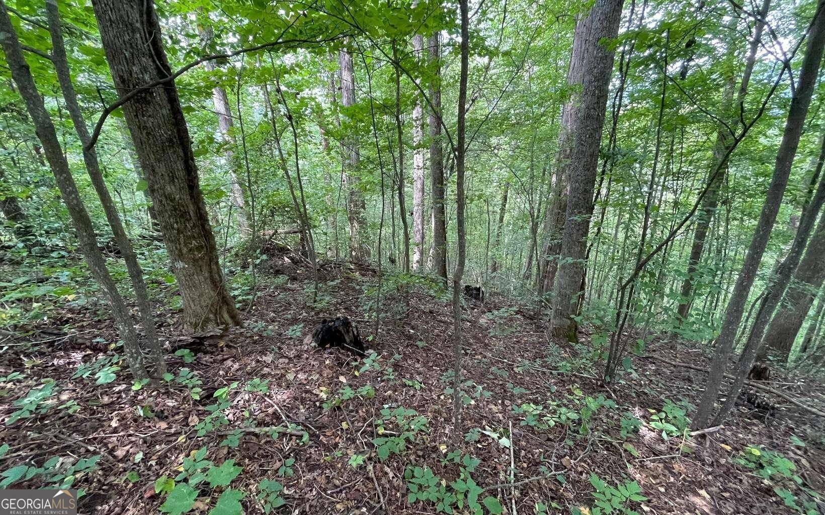 Hiawassee, GA 30546,LOT 19 Bear Trail