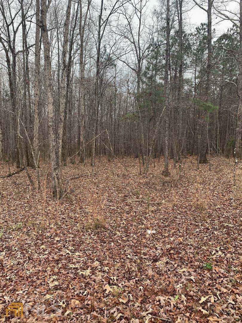 Senoia, GA 30276,LOT 40 Lawshe