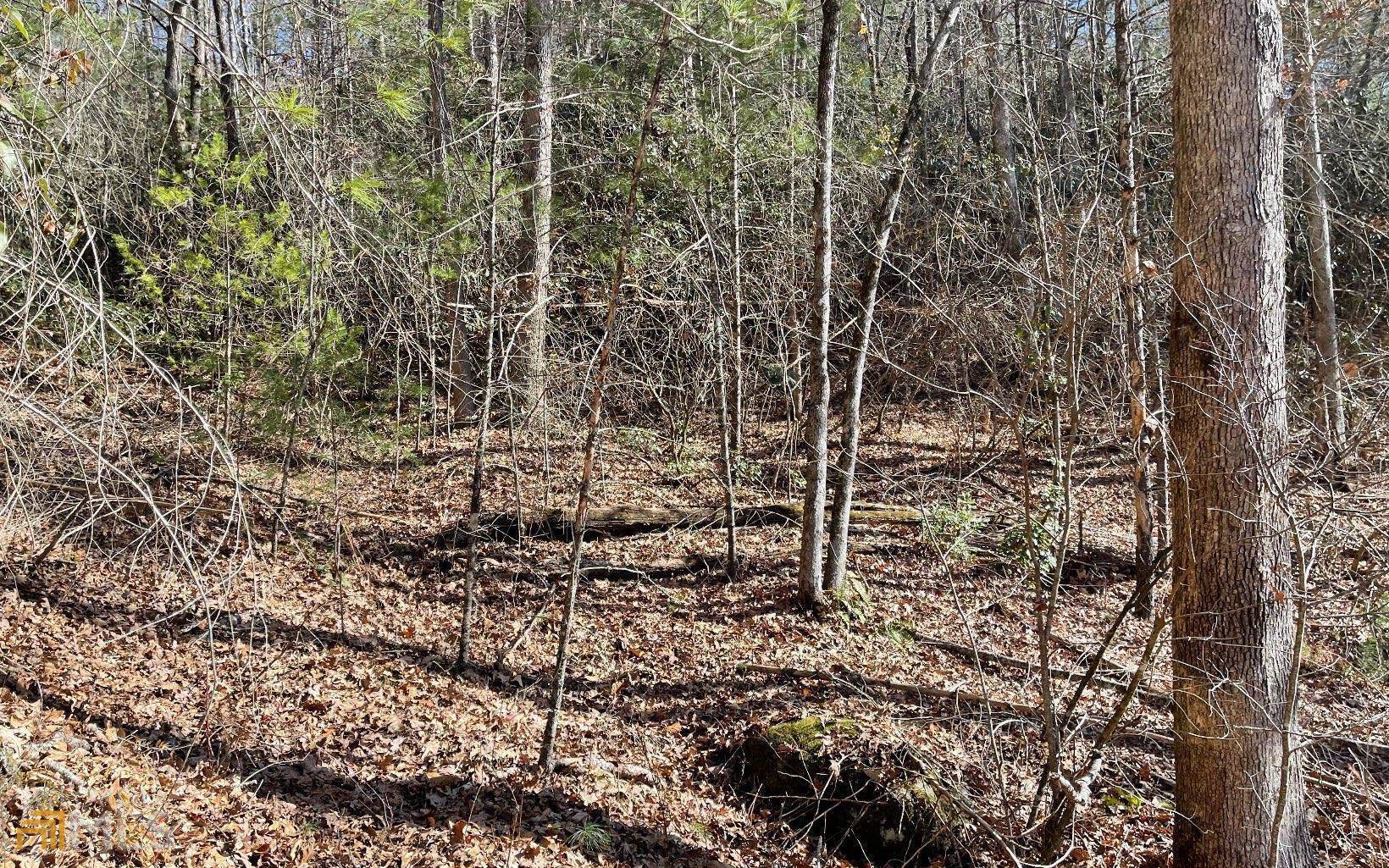 Hayesville, NC 28904,LOT 1 Fires Creek Road