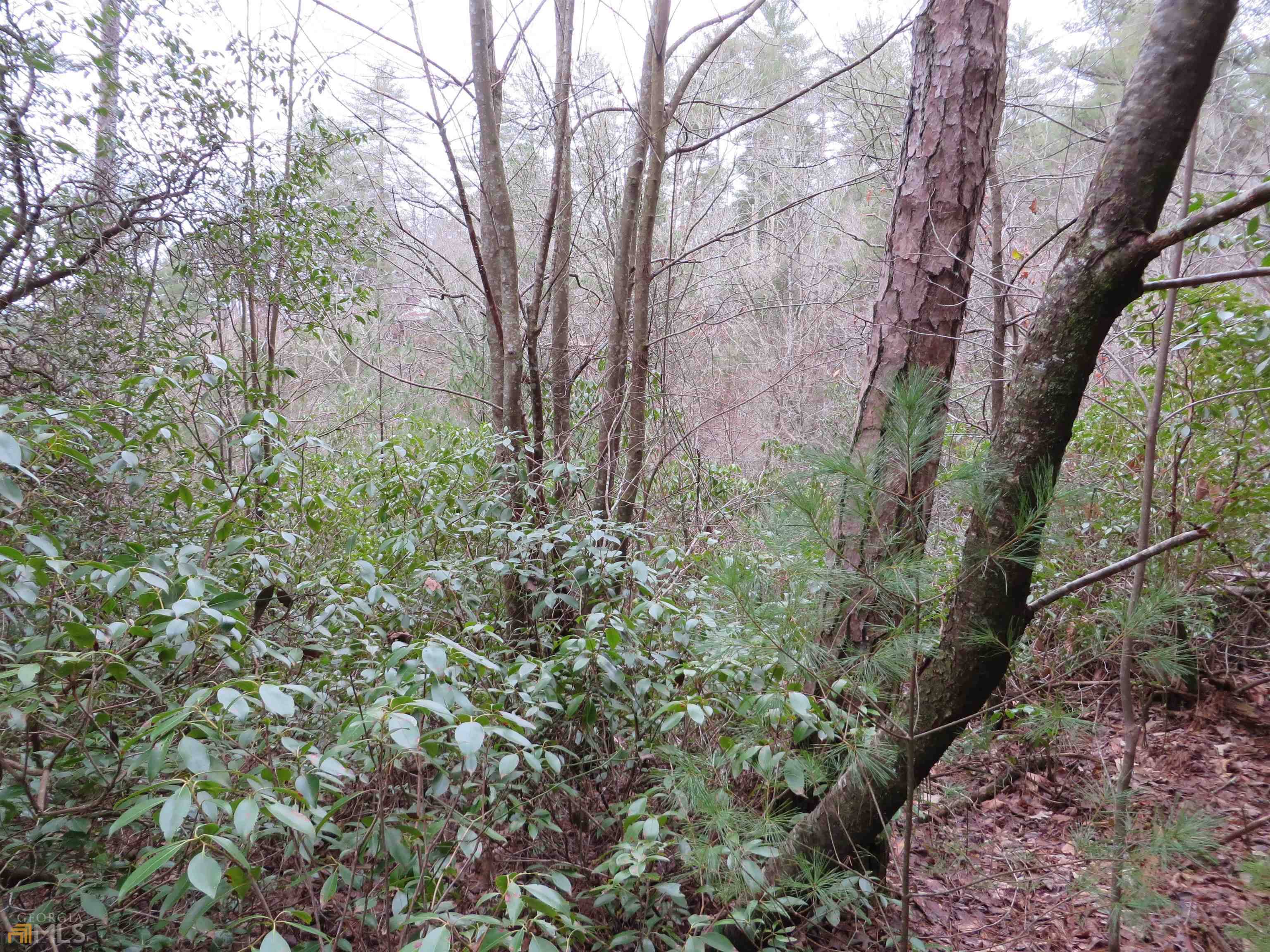 Cherry Log, GA 30522,LOT 332 Conley Branch