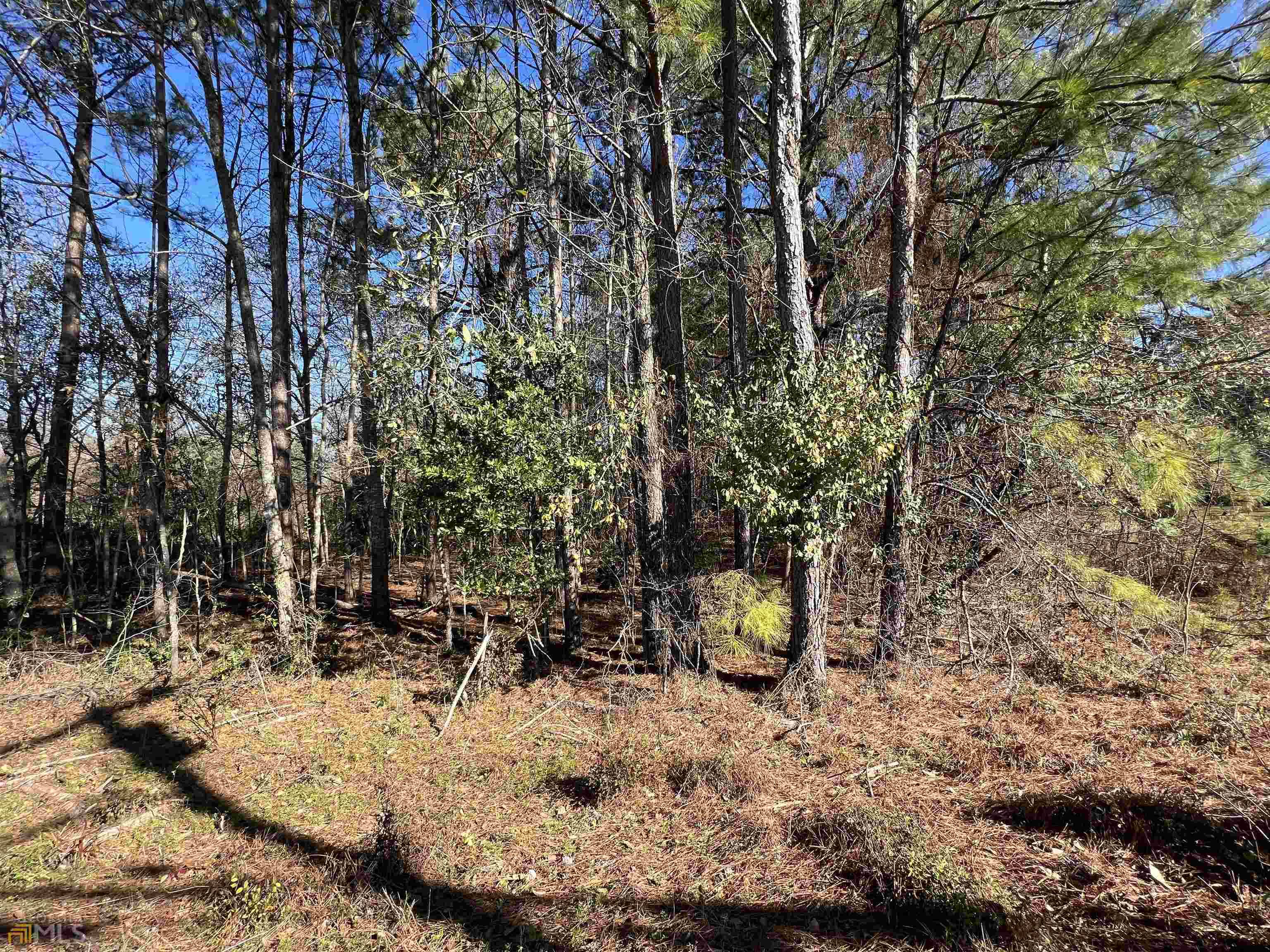 Monticello, GA 31064,0.32 ACRES Post Rd