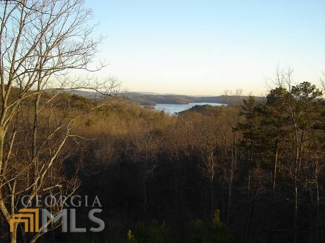 Ellijay, GA 30540,LT 34 Buck Creek