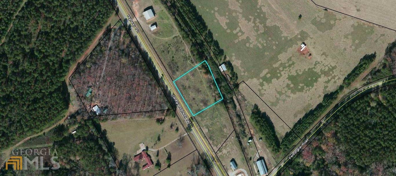 Monticello, GA 31064,1.76 AC Highway 142