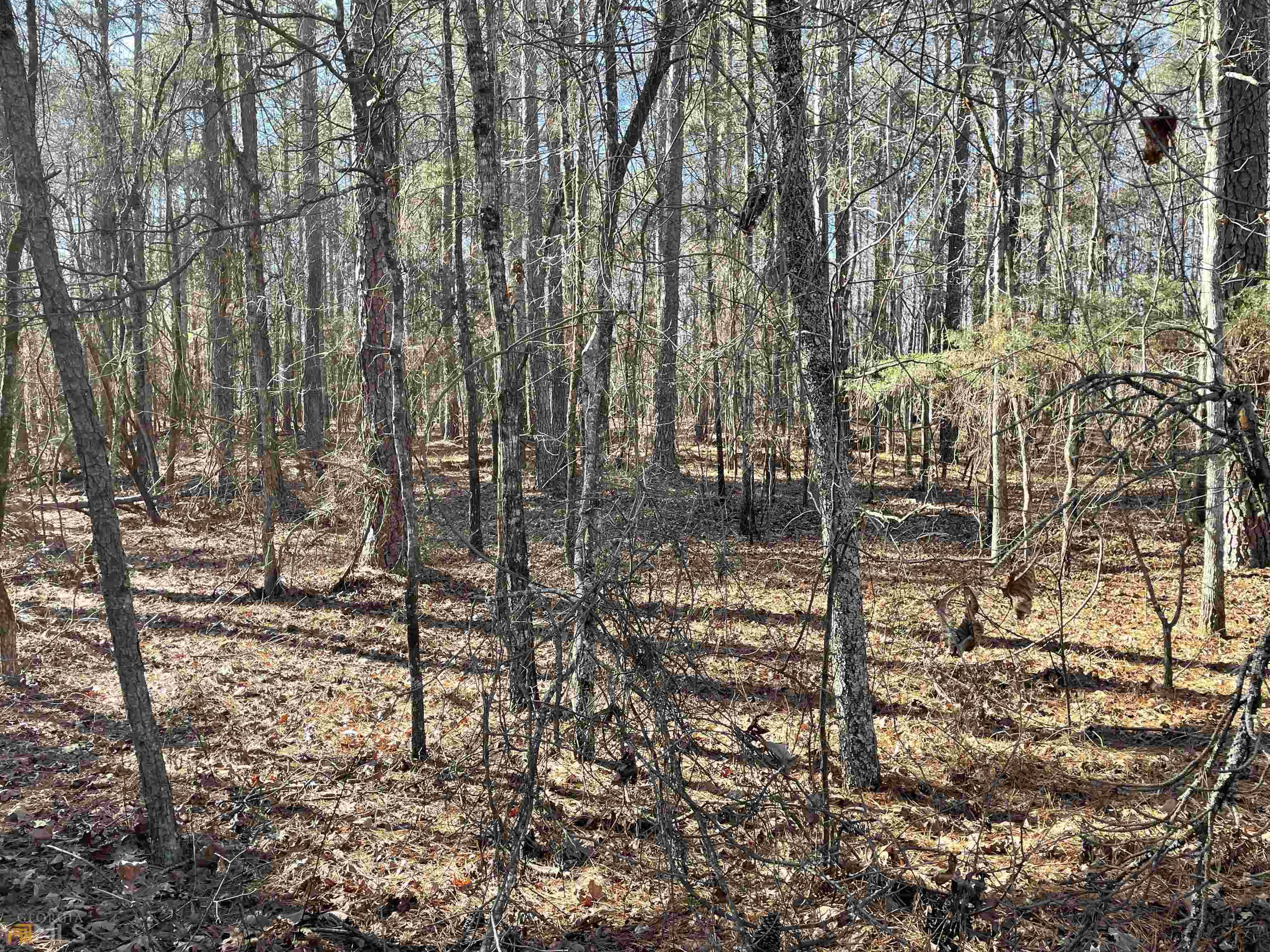 Locust Grove, GA 30248,0 Locust Grove Griffin RD