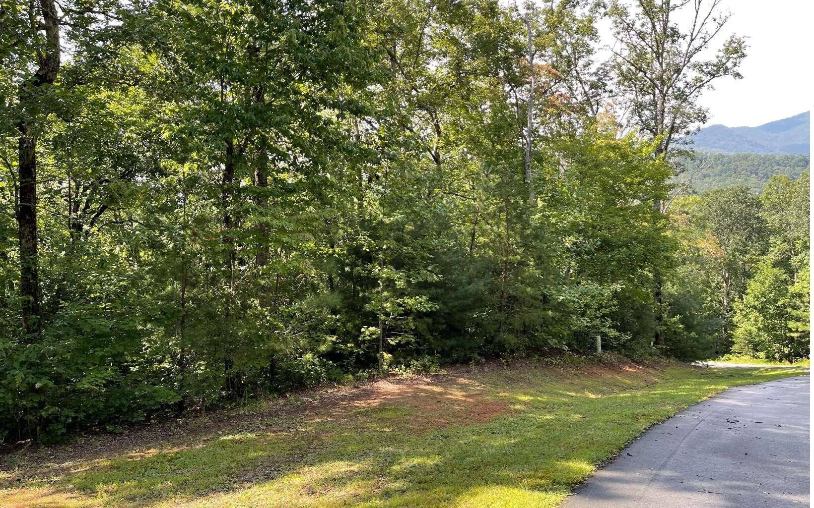 Hiawassee, GA 30546,LOT 9 Wolfpen Gap Sub